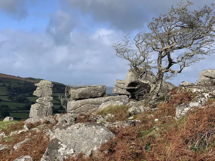 Bowerman's Nose