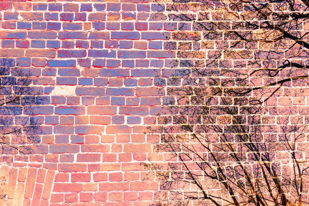 Alive to You and Dead to Me