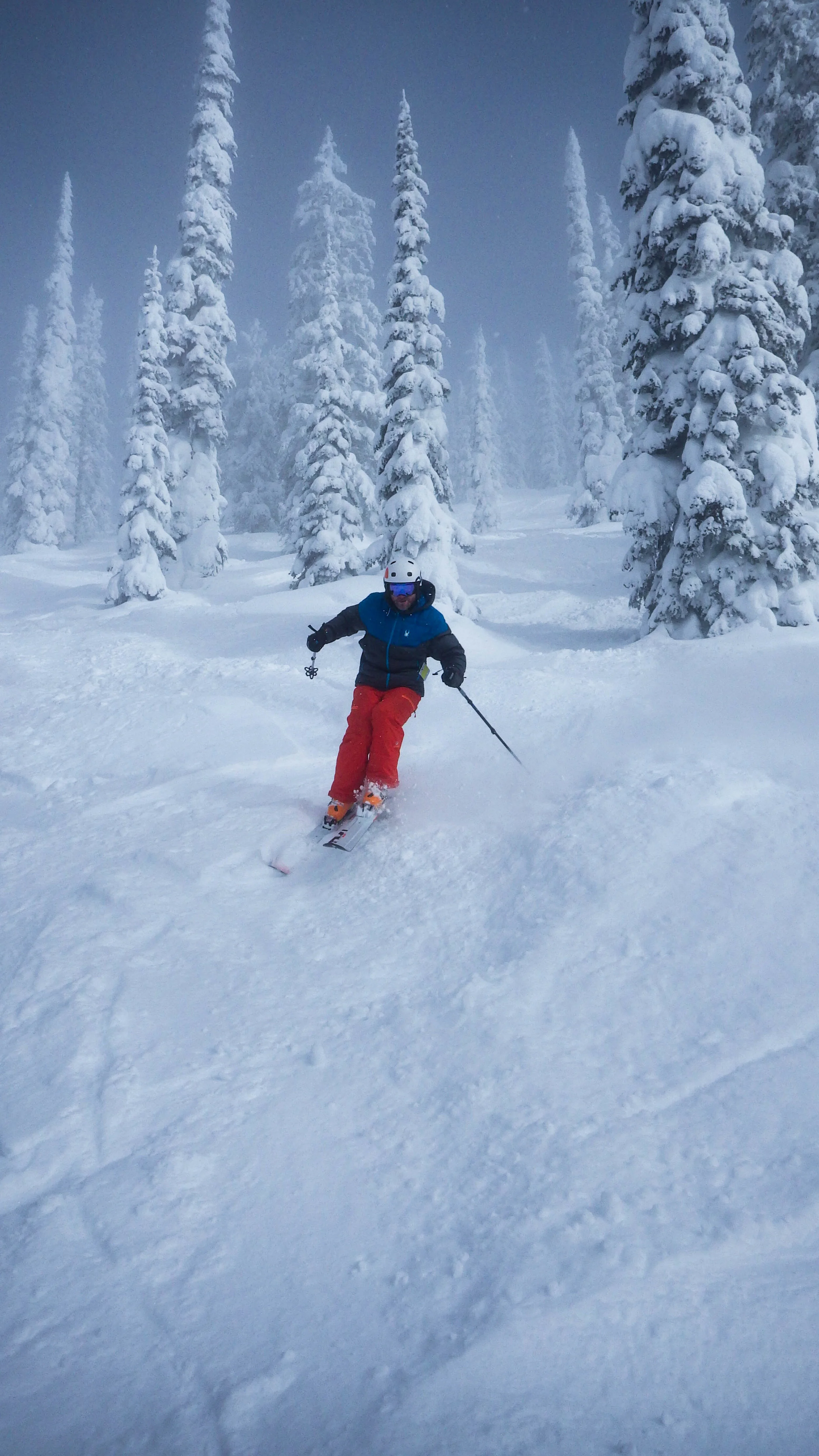 Tree skiing in Whitewater
