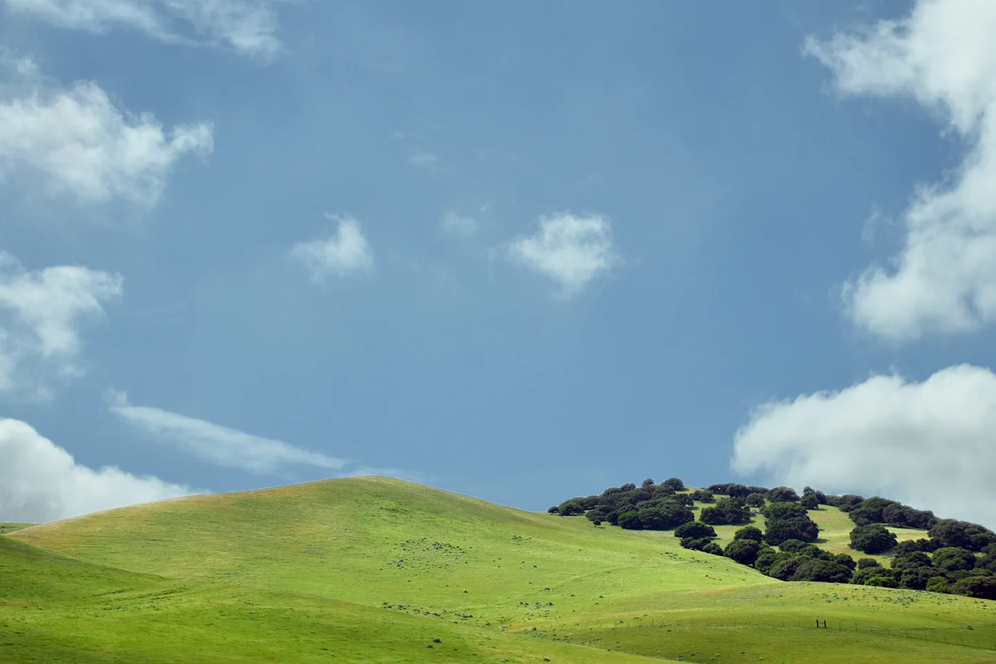 Lum Family Dentistry