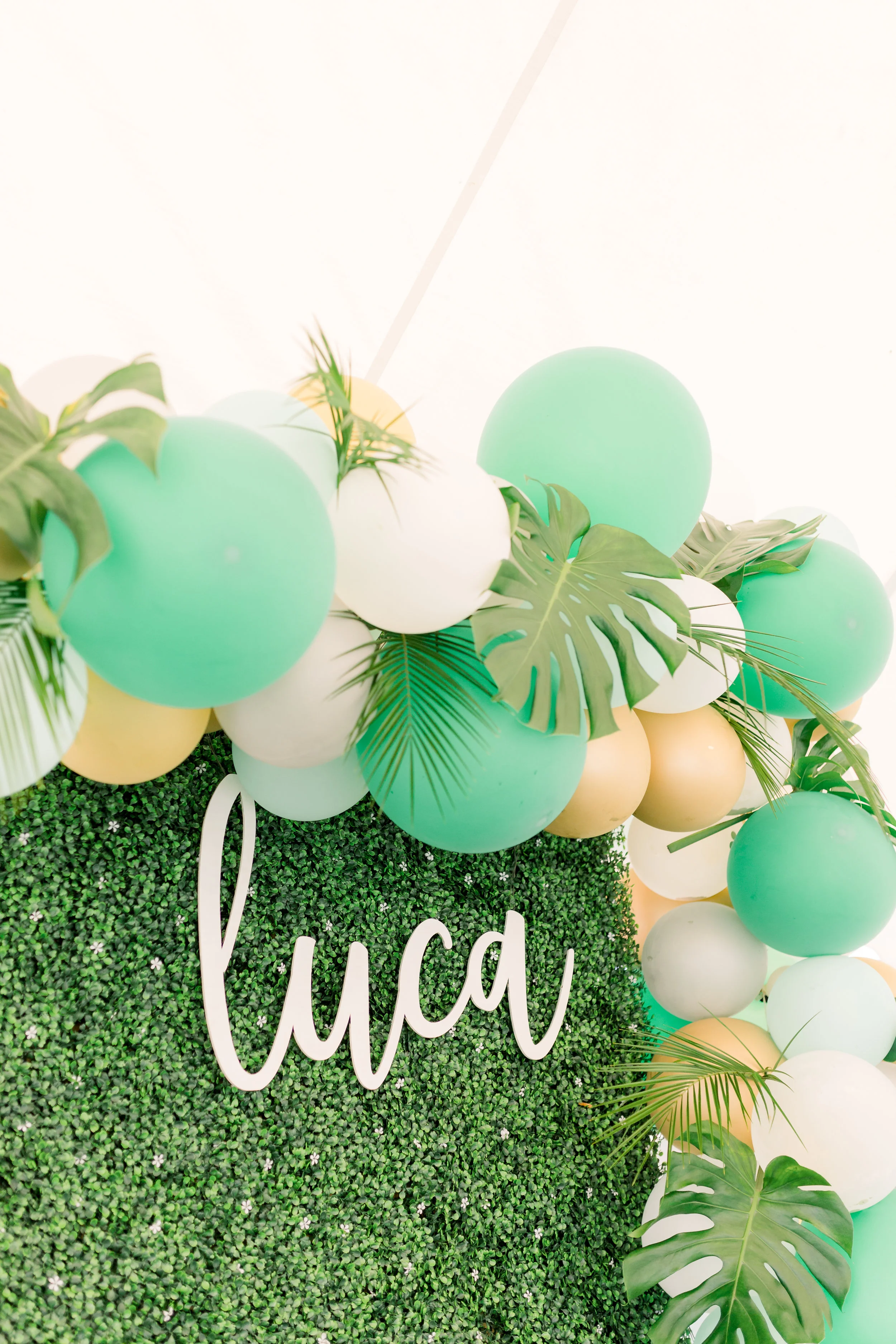 Luca's First Birthday-2.jpg