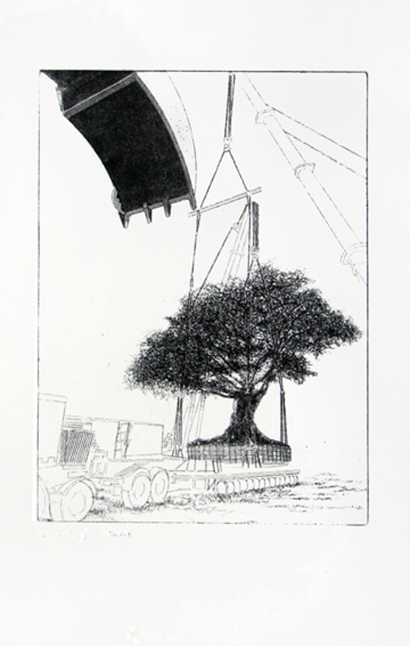 אלי דינר / עץ שיקמה בחולון, הדפס, 2009