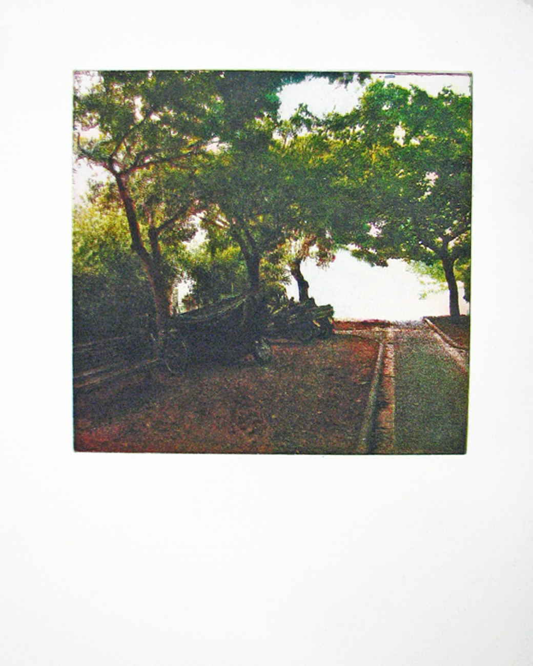 אלי דינר / סימטה מרחוב חיסין, הדפס, 2009