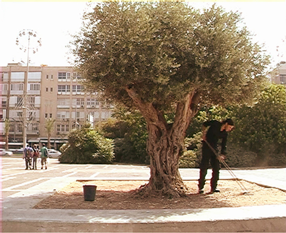 ראפת חטאב, בידון עינוואן - ללא כותרת, דימוי מתוך עבודת וידאו, 2009