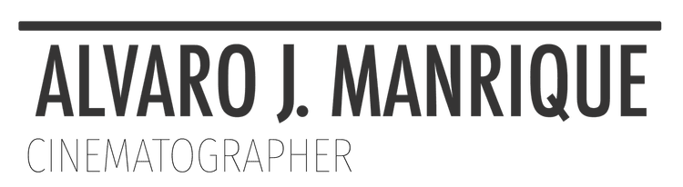 Alvaro J. Manrique Iribas