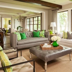 Living Room Staging.jpg