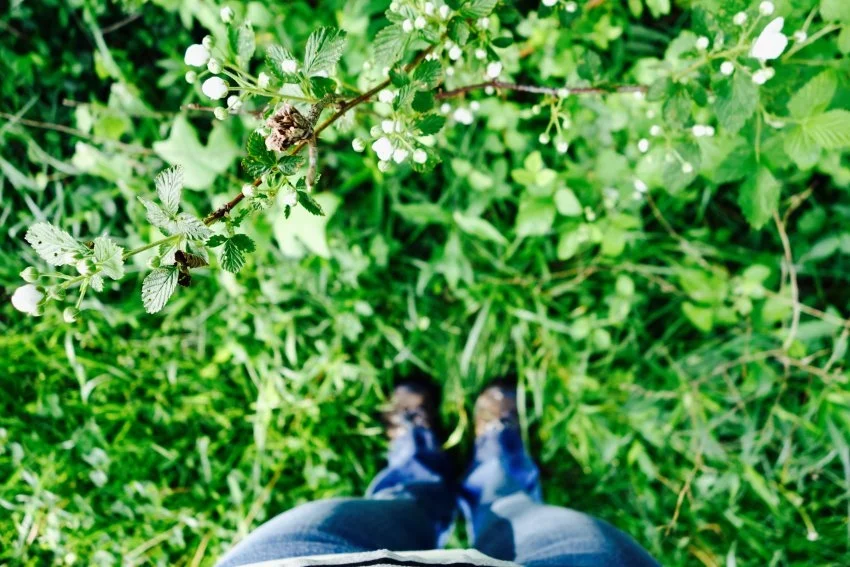berries-see.listen.be_.jpg