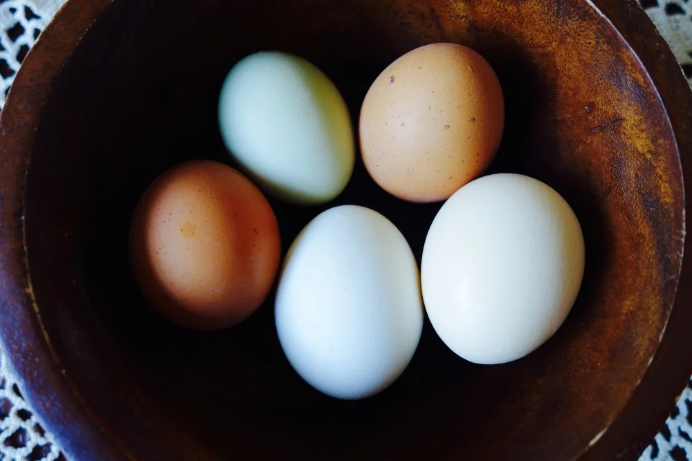 eggs-2.jpg