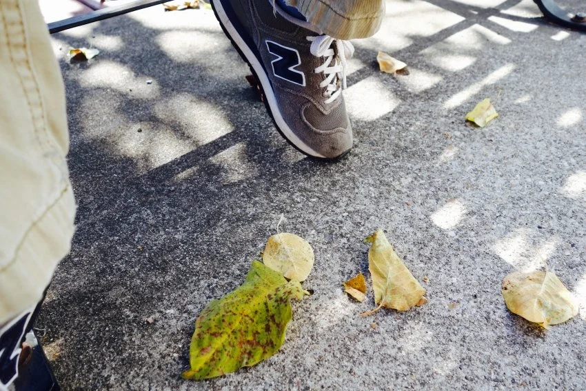 leaves-too-compressed.jpg