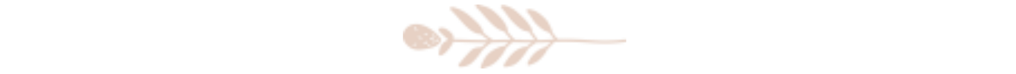 coral end-of-post floral.png
