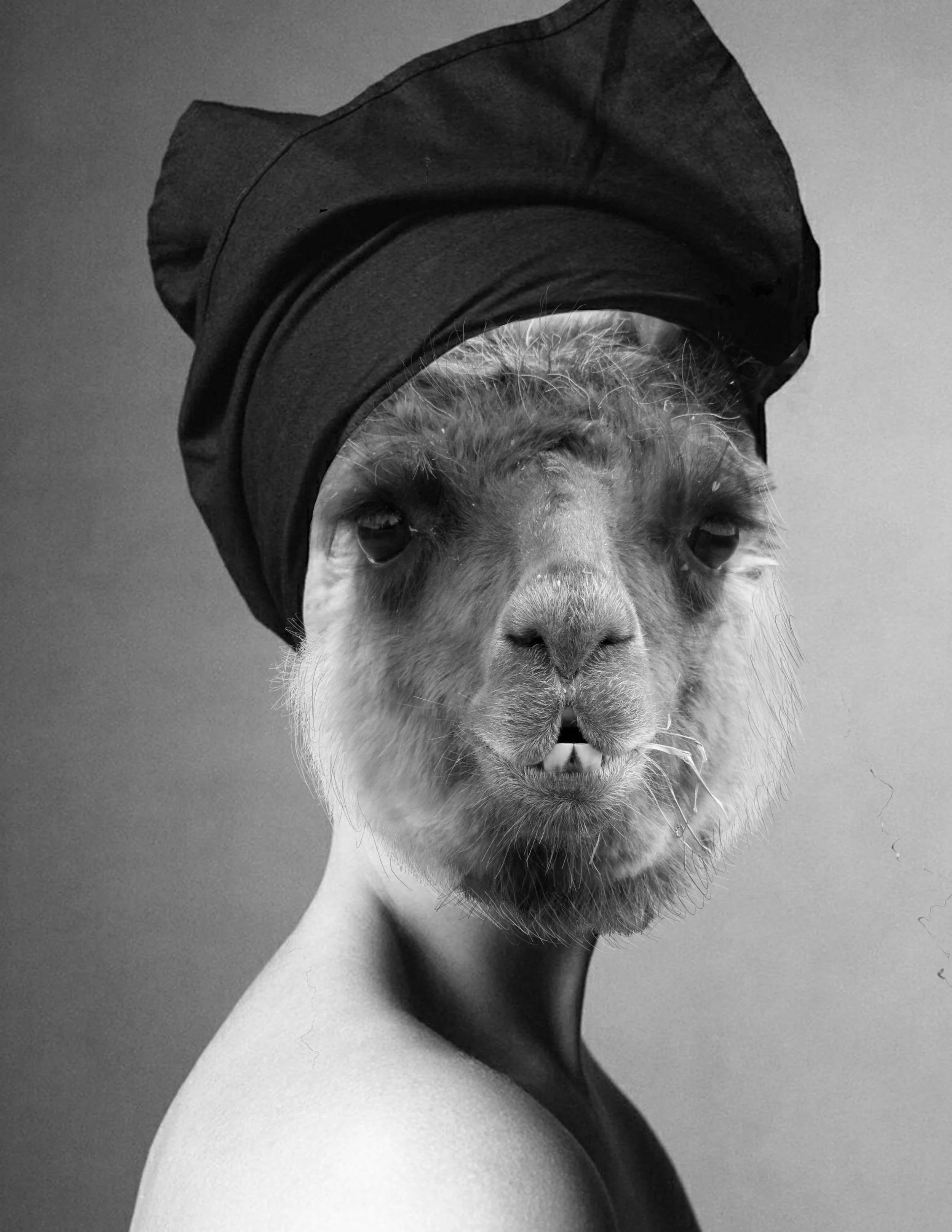 tyrapaca.jpg