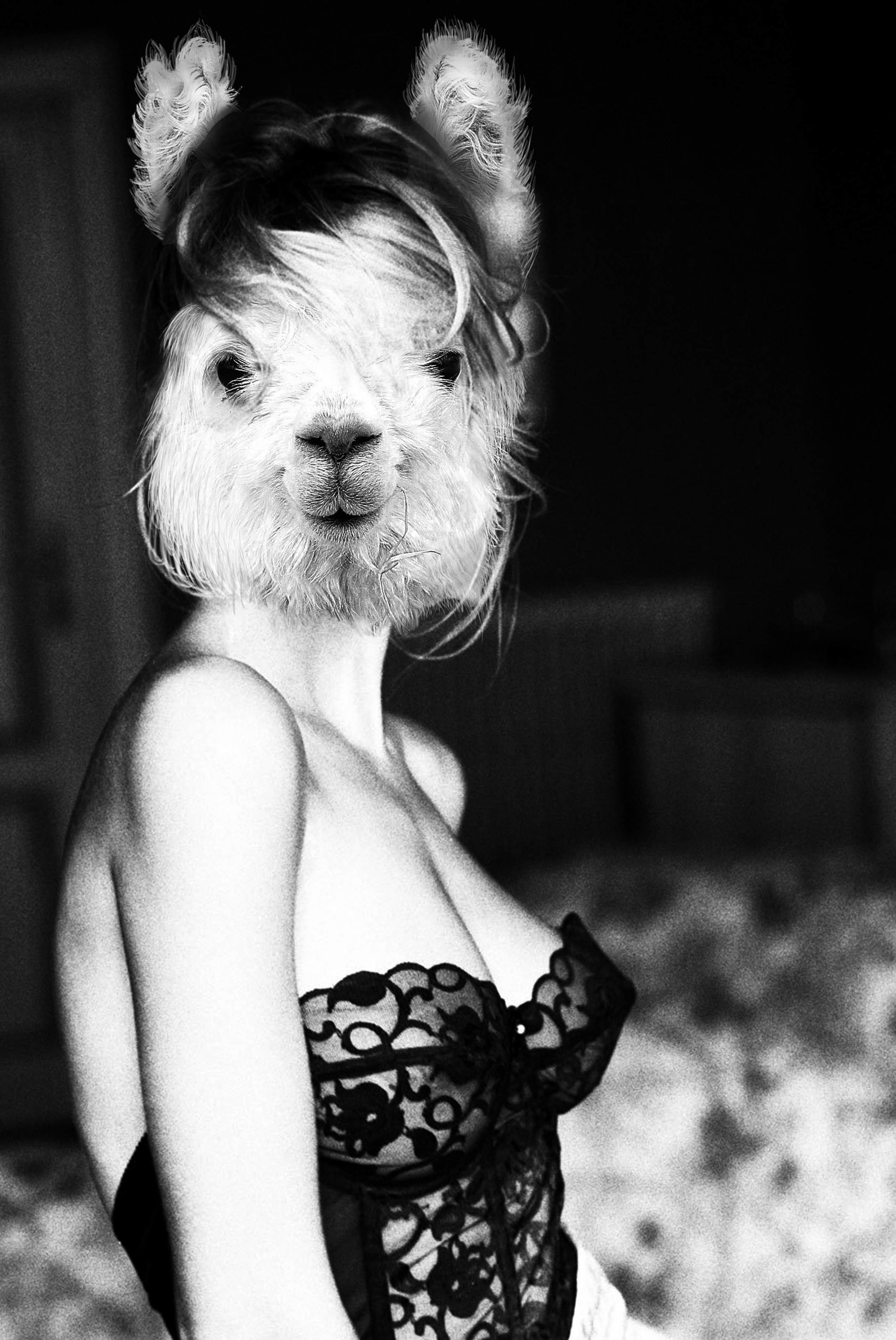 ClaudiaAlpaca.jpg