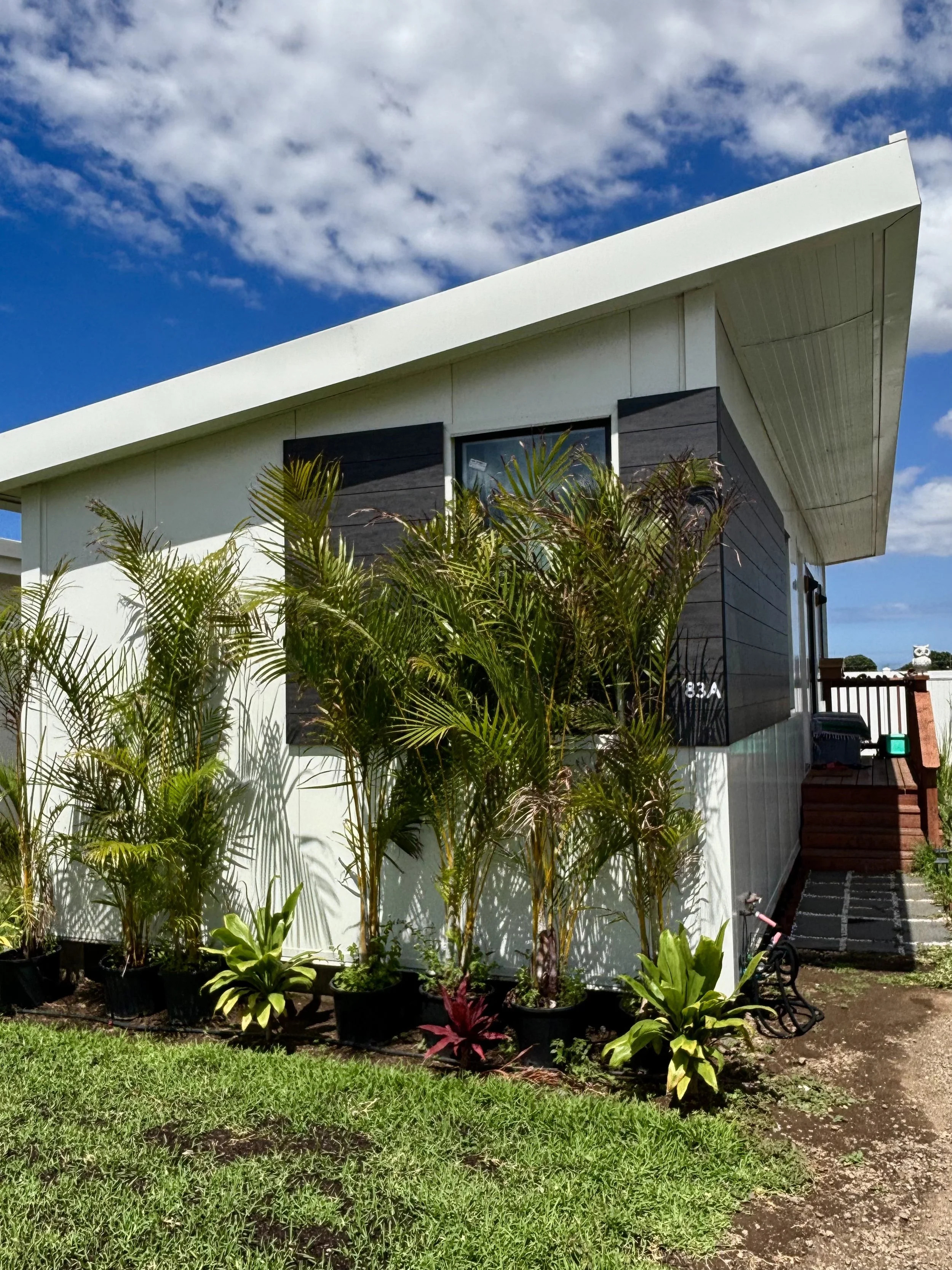 LahainaProject 8.jpg