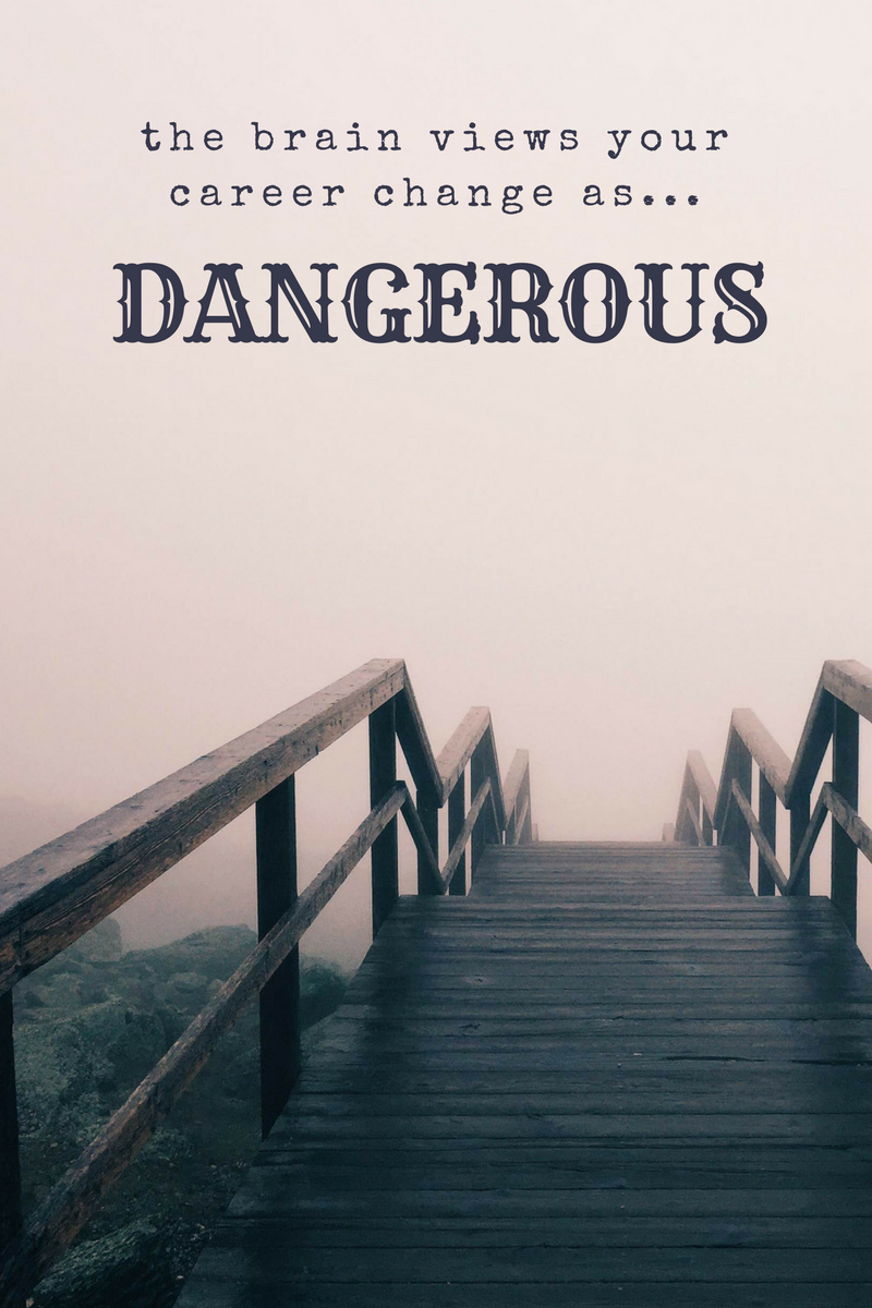 brain sees career change as dangerous..png