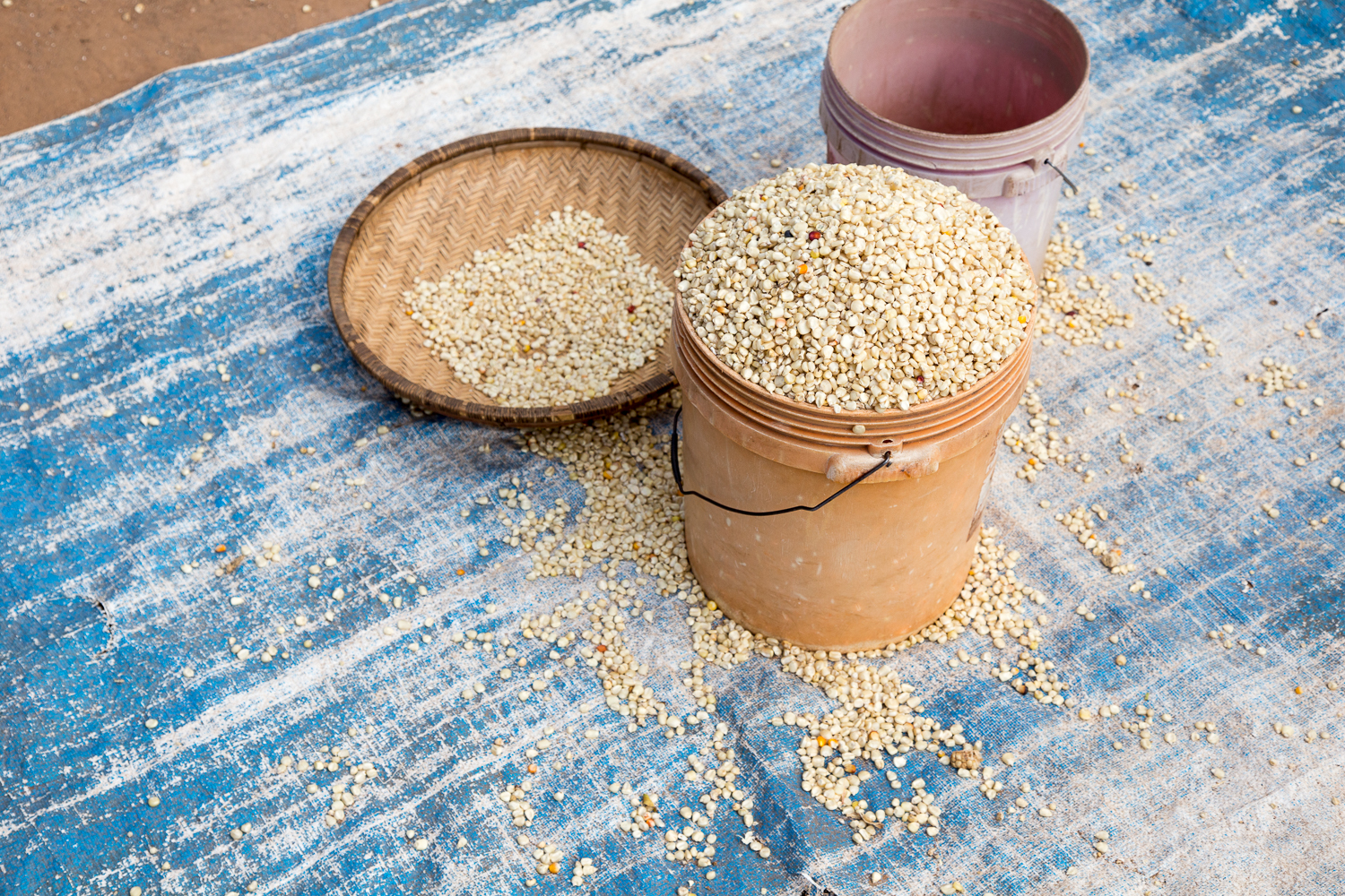  Maize for sale. This corn is ground into flower, and boiled to make  Nsima , a starchy staple with almost every meal. It is similar in consistency and flavor to unseasoned polenta. 