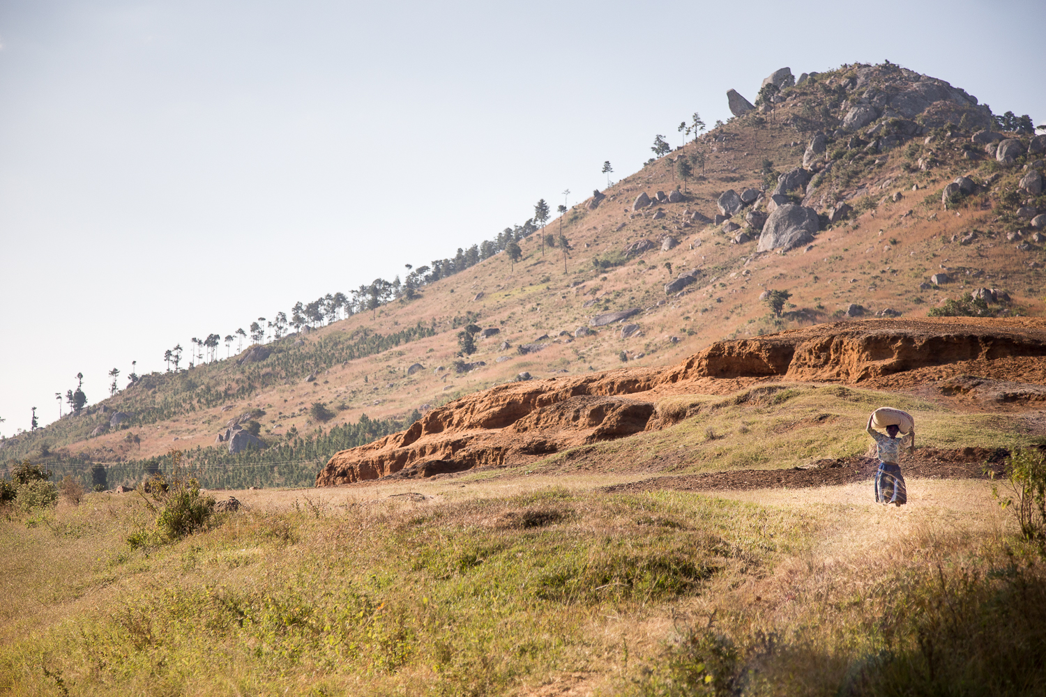  The preferred method of hauling heavy items in Malawi is balanced on the head (at least by the women). More often than not, items are balanced without the use of hands. 