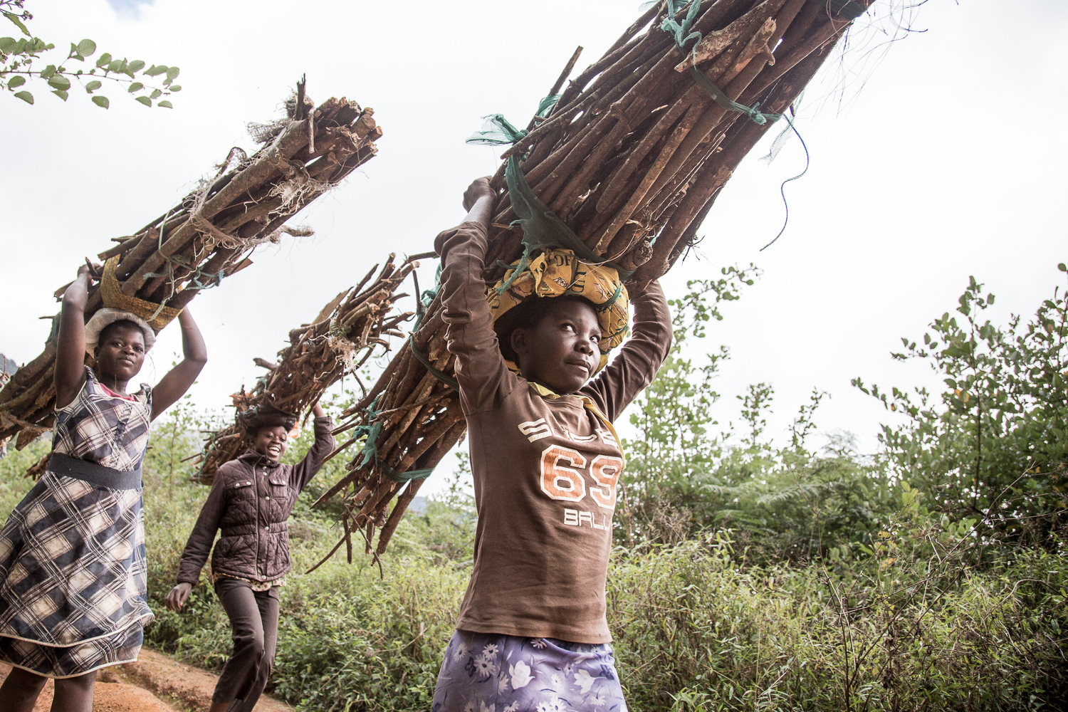  Children on their day off from school, collect firewood from the plateau for cooking. 