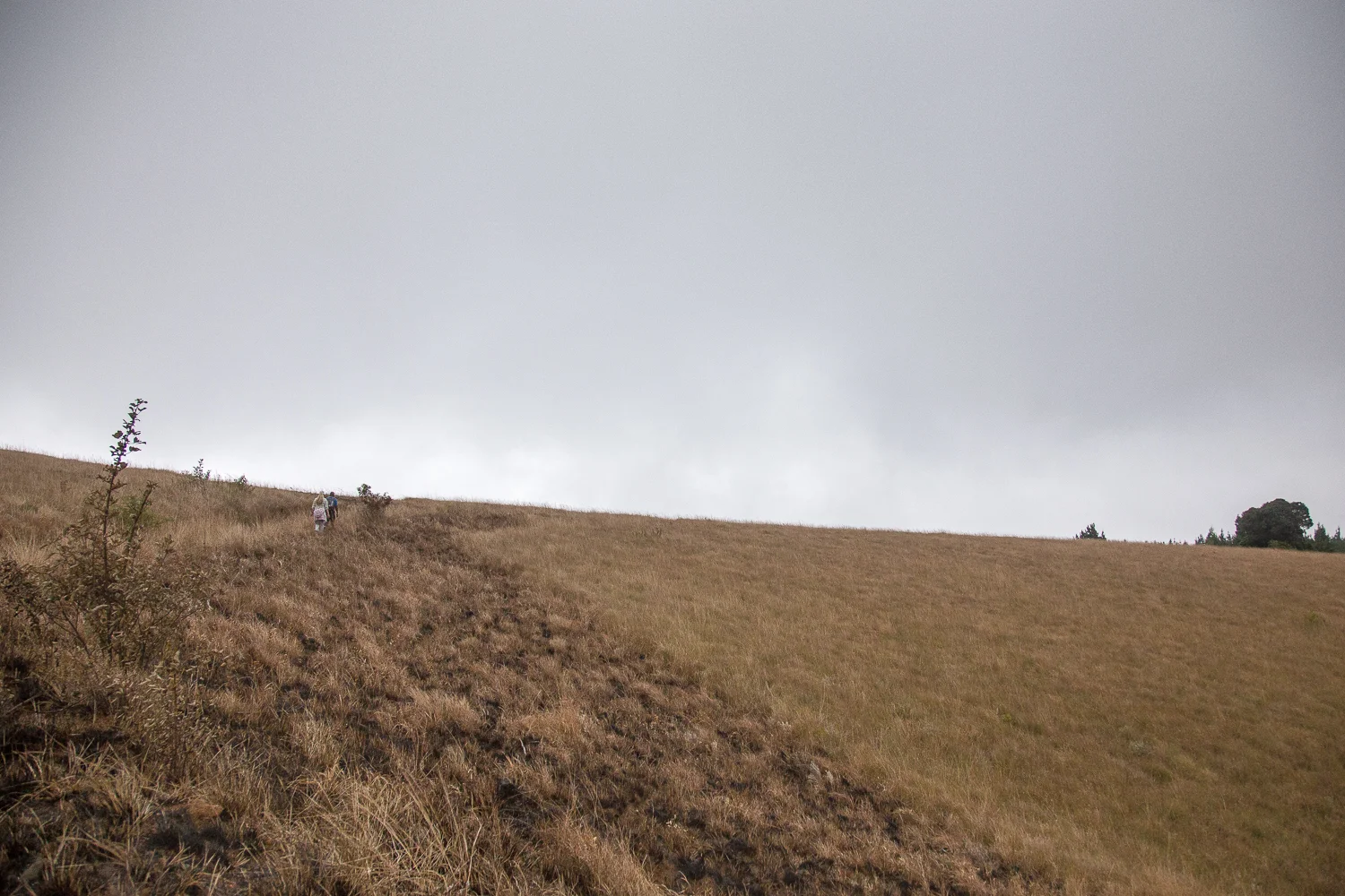 The grasslands at the top of the plateau was recently lit on fire by hunters, to flush out the hares.