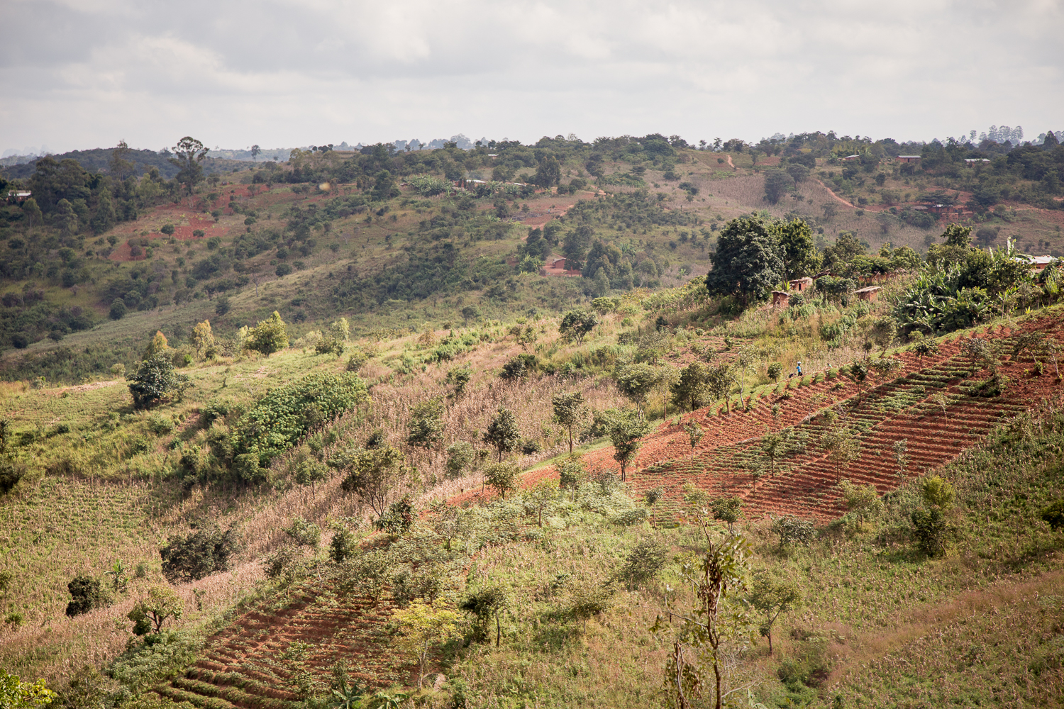  The view from the village. 