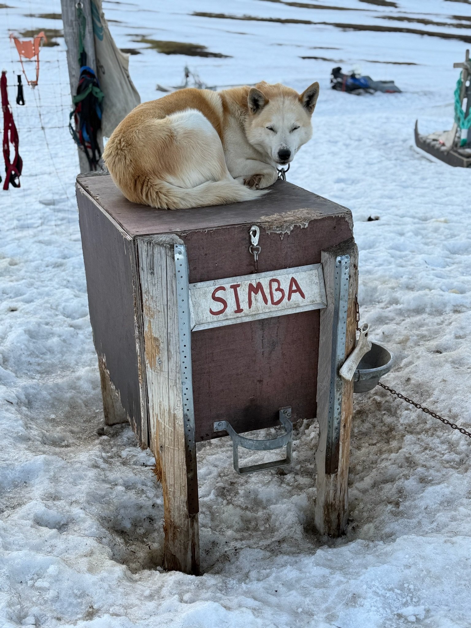 IMG_6027.jpeg