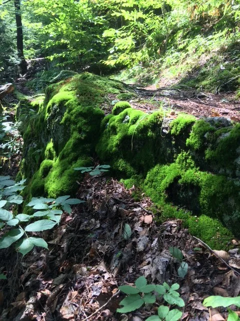 The All-One Being Who Permeates All