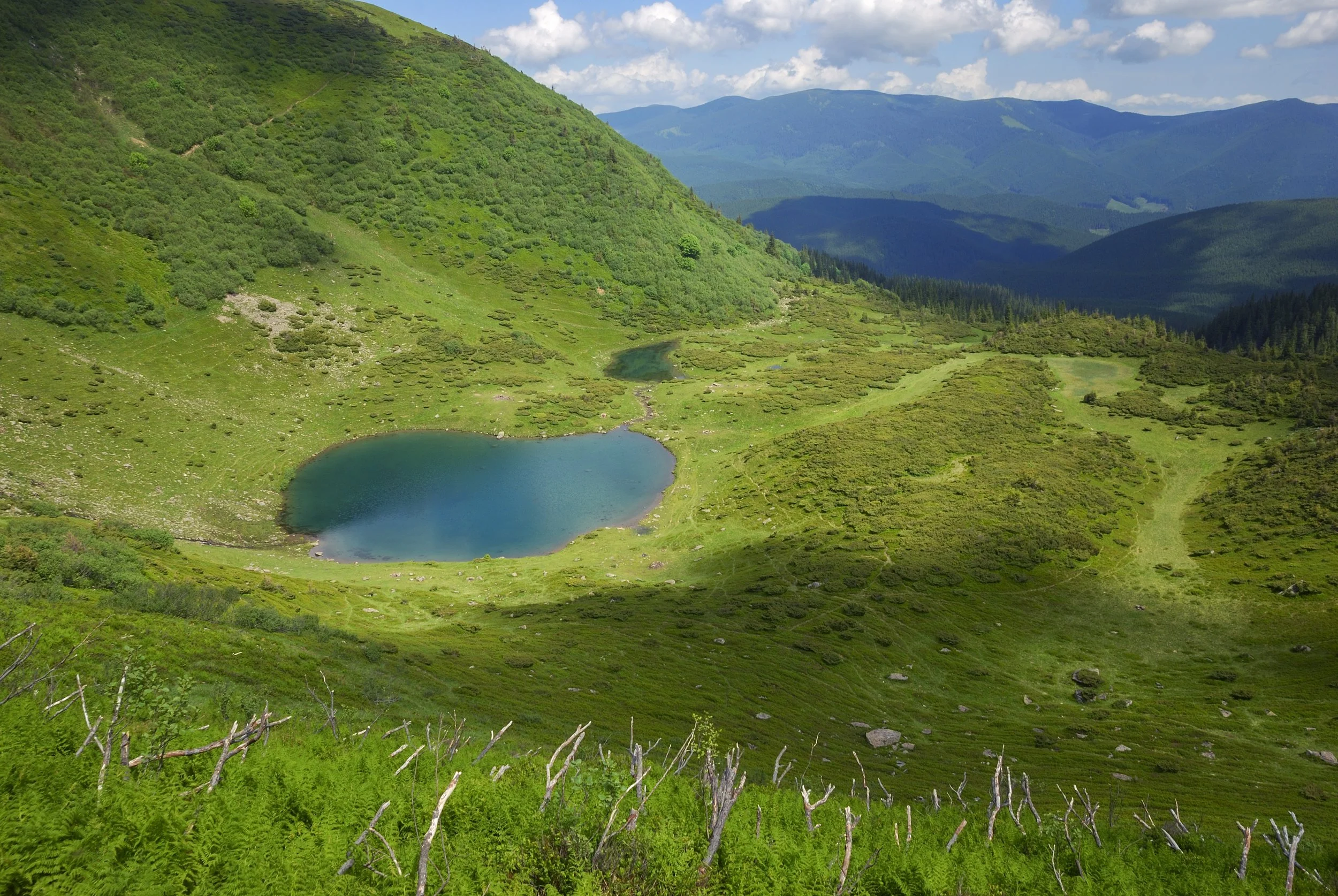 Collaborative Blessing