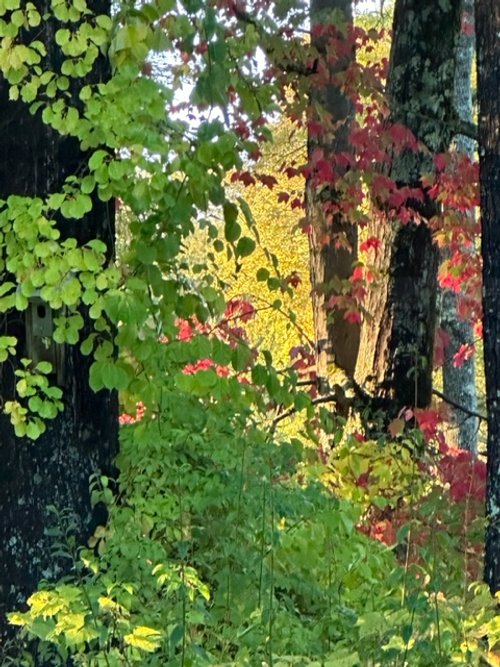 What Never Went Away