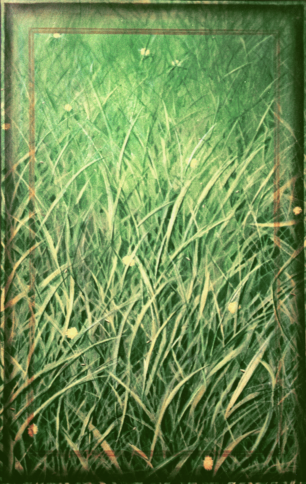 Grass #2