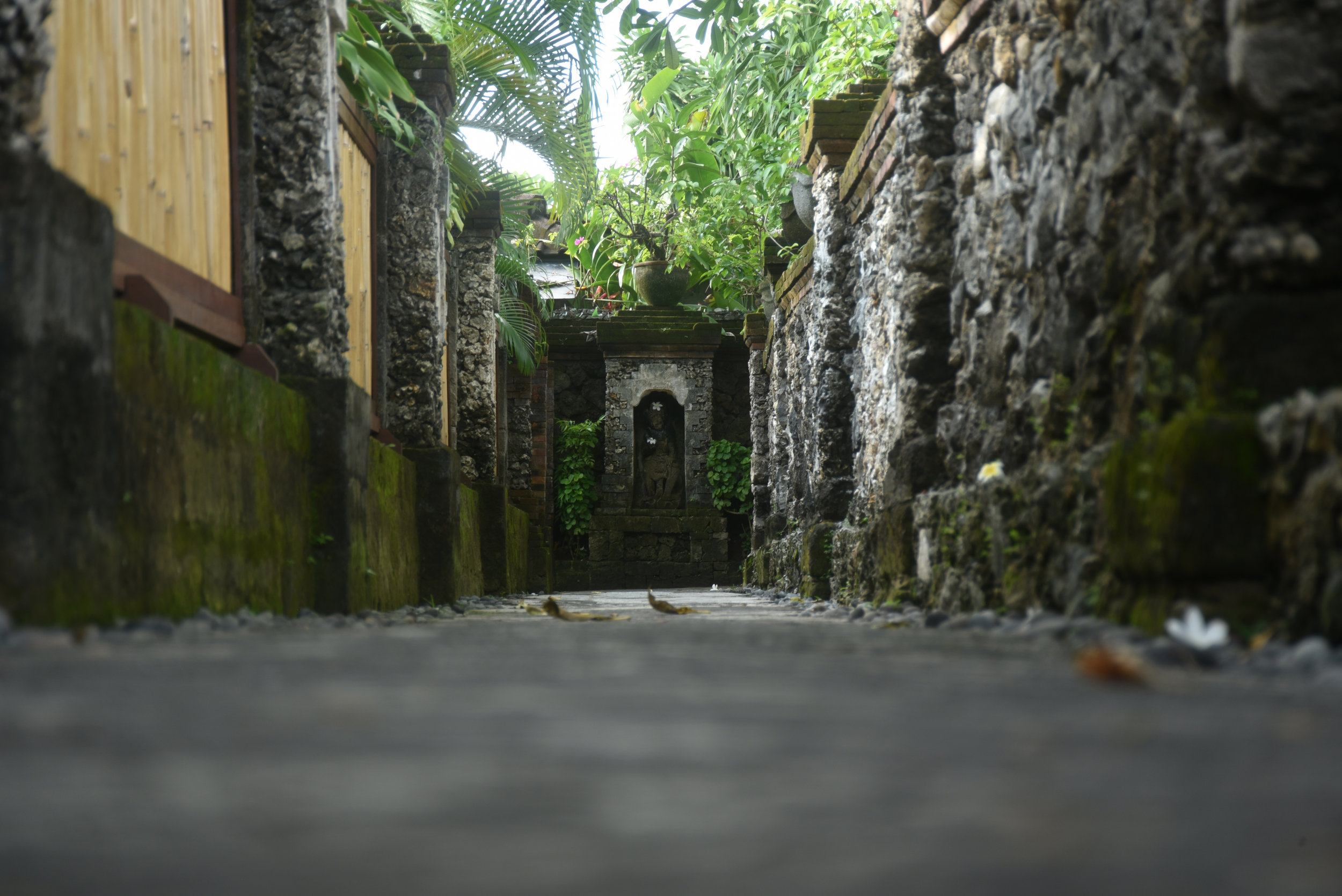 DSC_2086.jpg