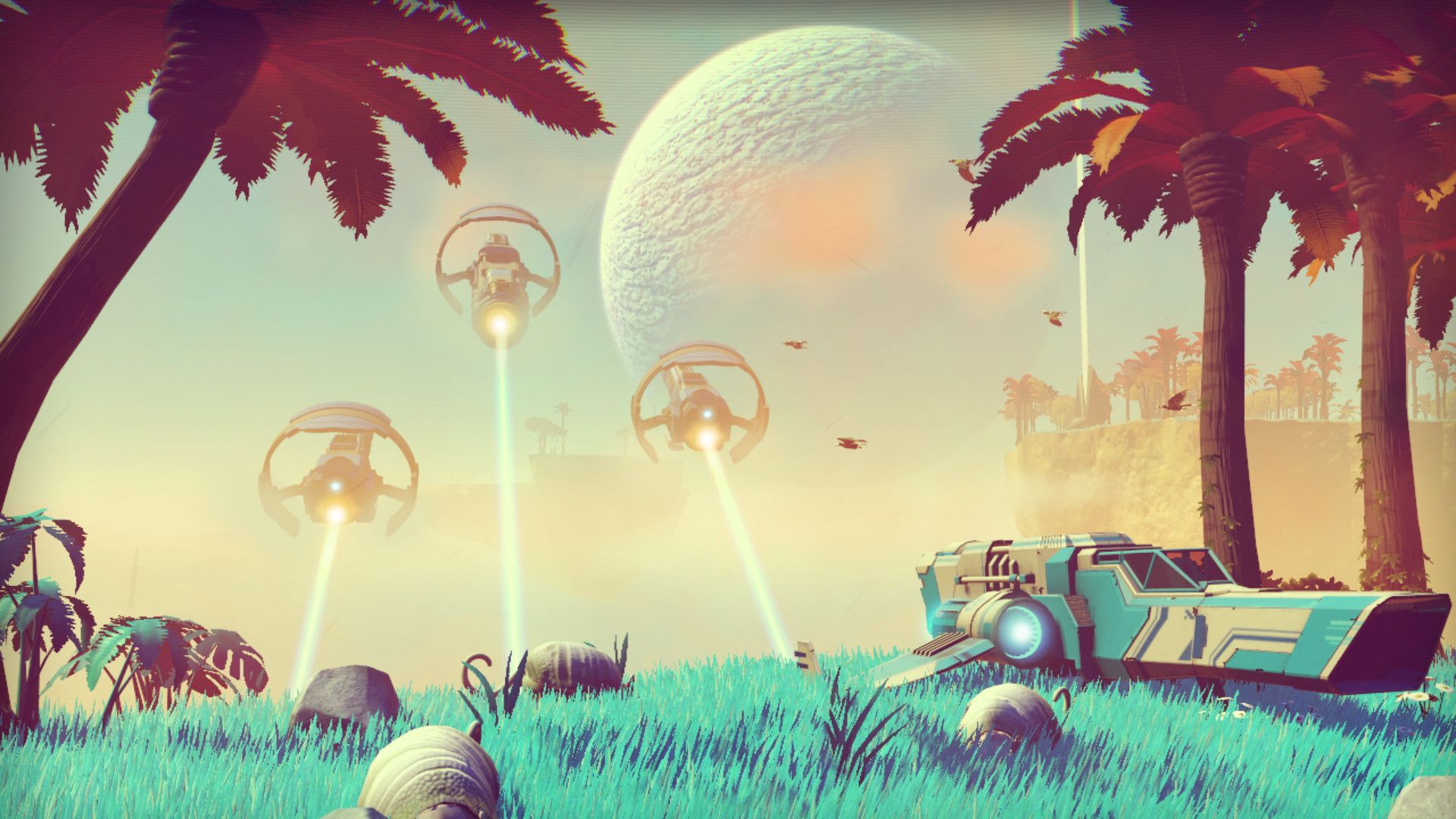 NMS.3.jpg