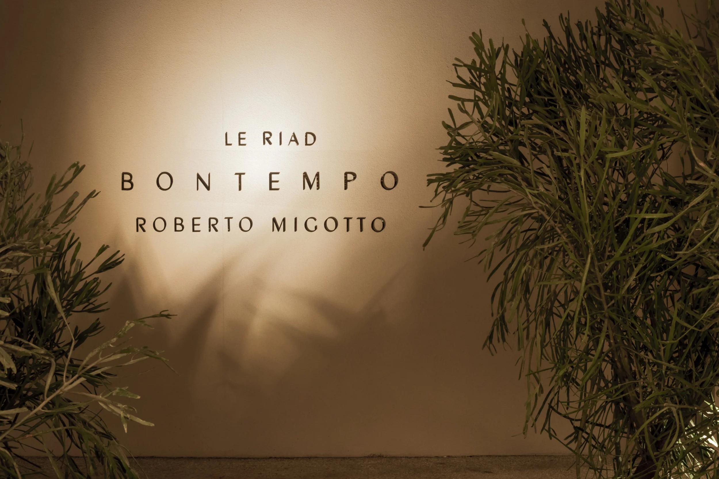 LIGHTSOURCE_CasaCor-2018_Roberto-Migotto_Carlos-Fortes_009.jpg