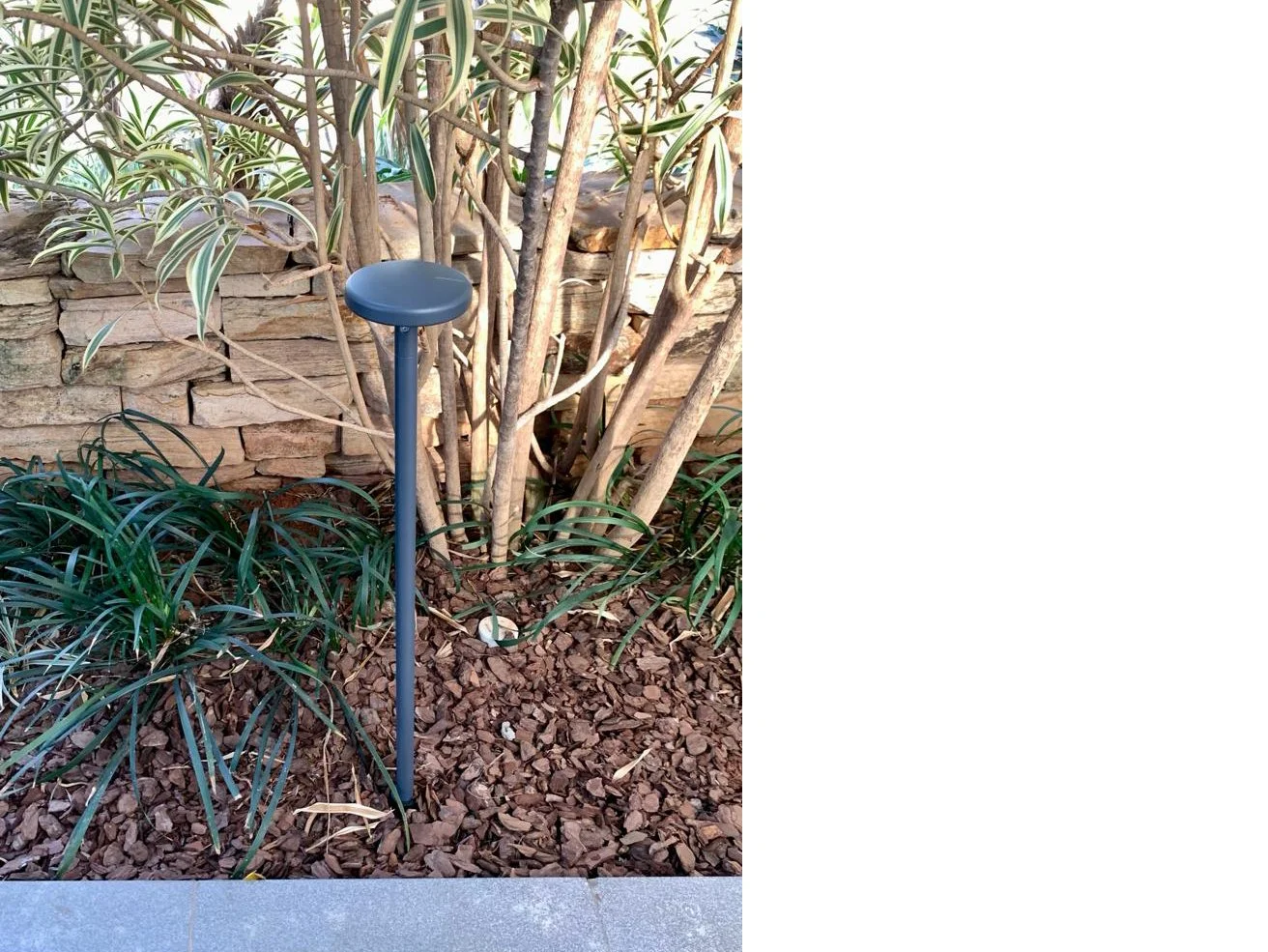 ARQUE SPIKE FLEX — LIGHTSOURCE