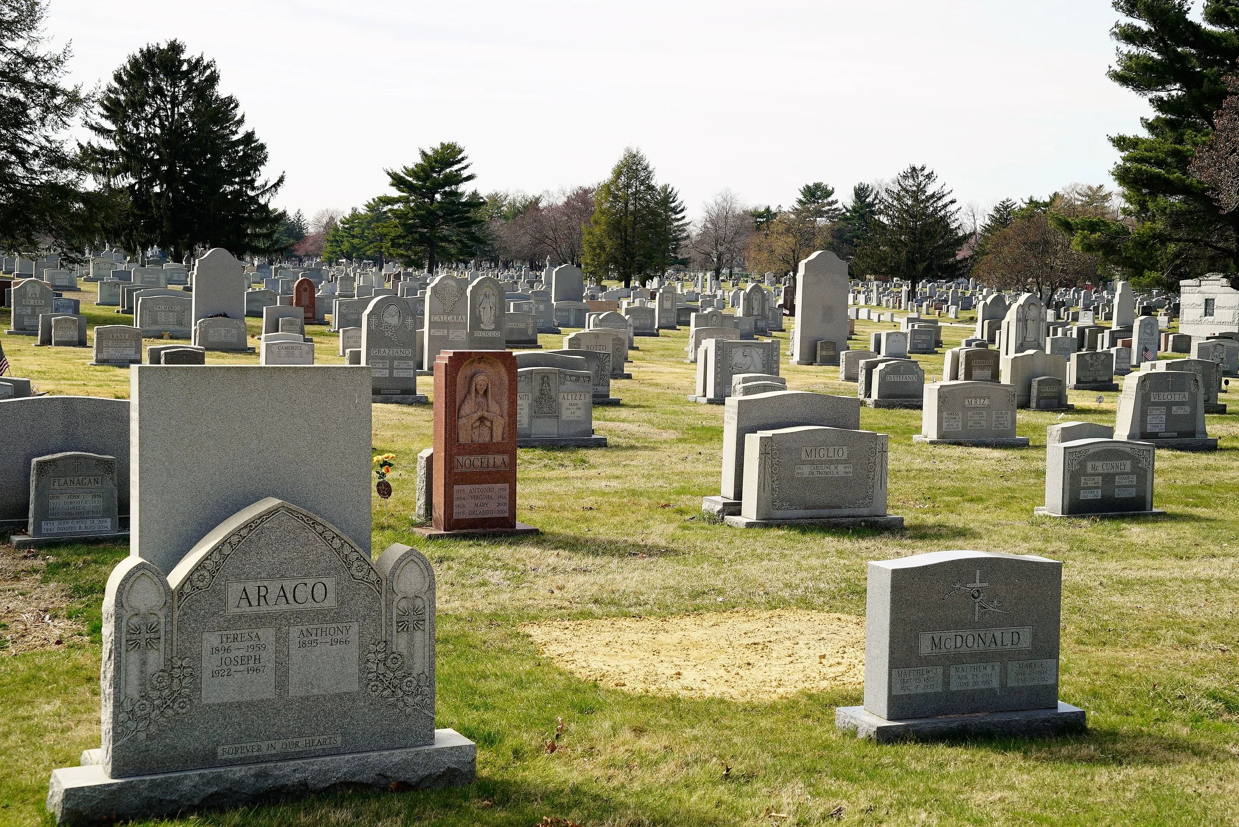 Photo: Holy Cross Cemetery in Yeadon, PA is very large.