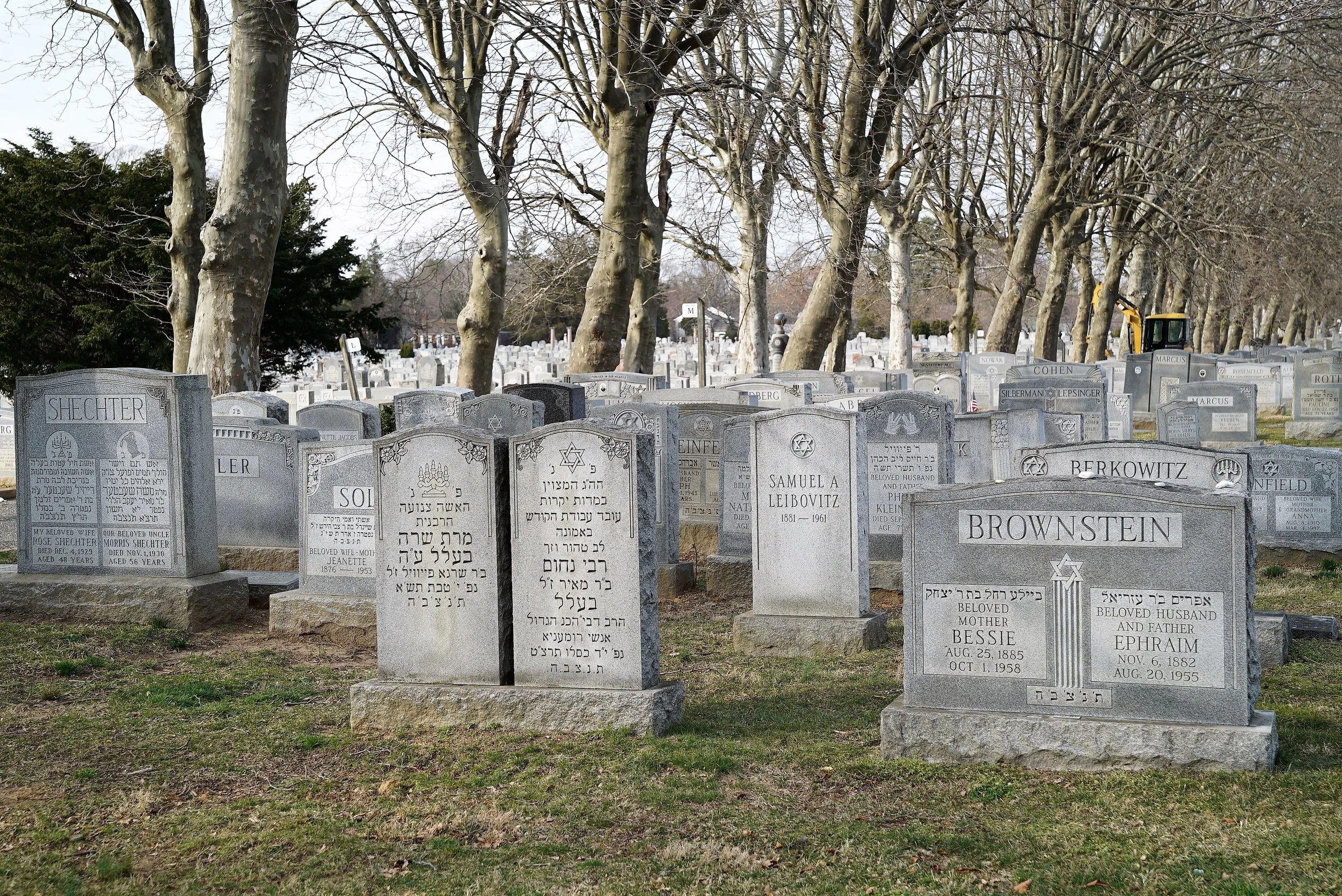 Photo: Mt. Sharon Cemetery, Springfield, PA. The grounds are nice.