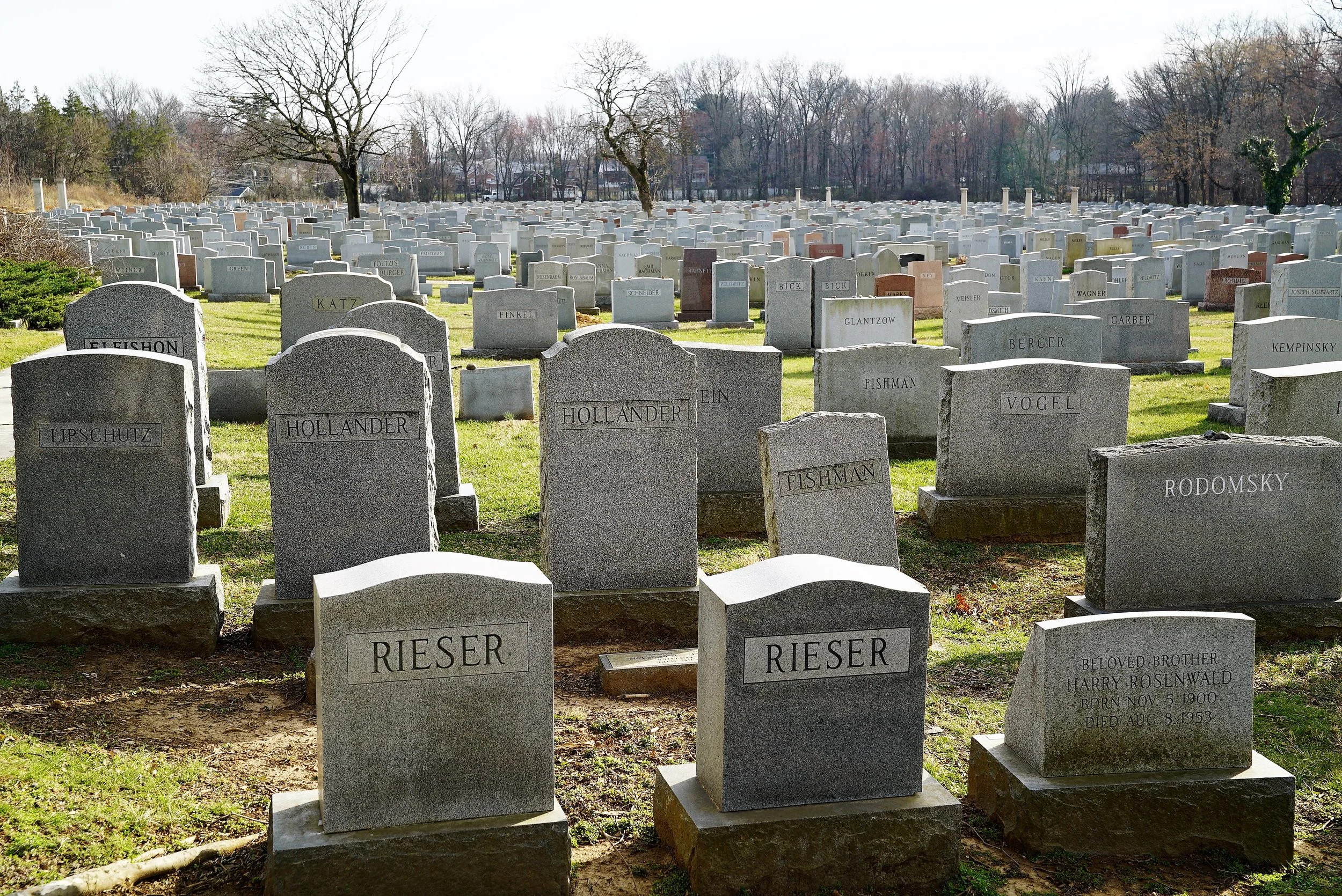 A sea of headstones. Mt. Sharon Cemetery, Springfield, PA.