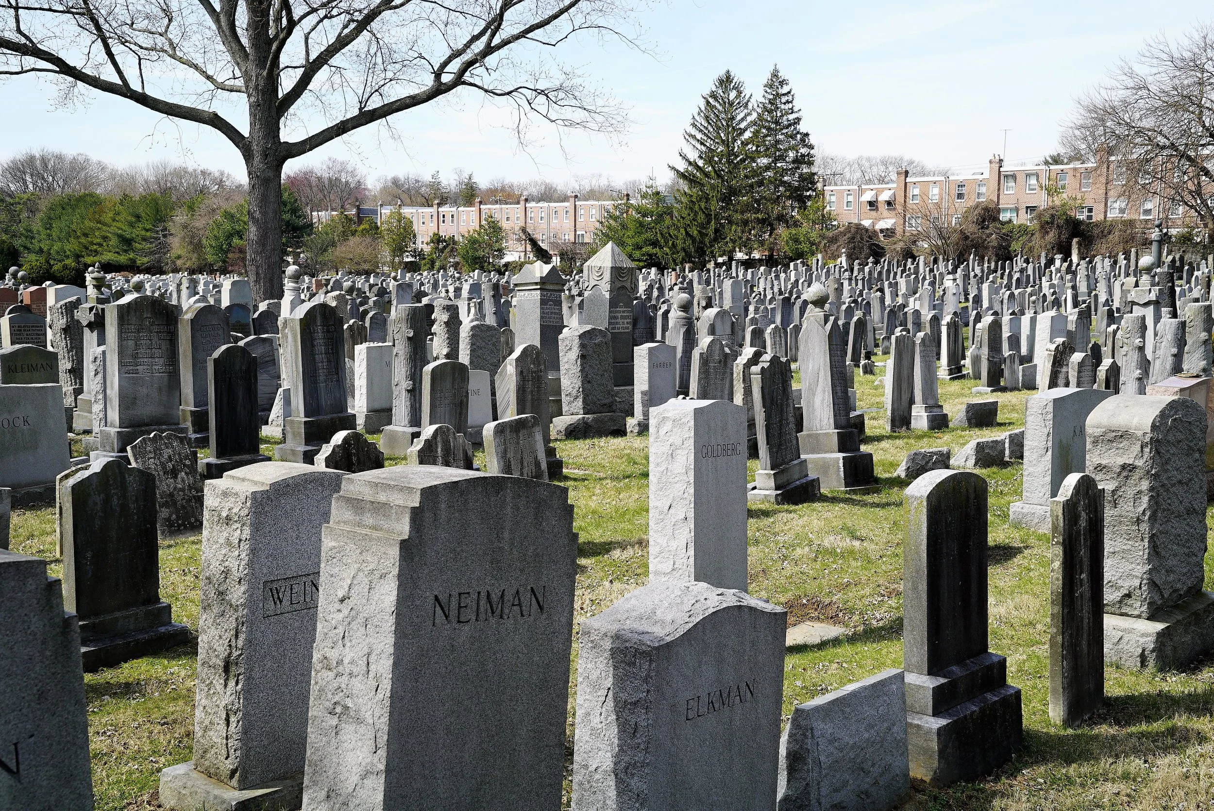 Just one part of a sea of monuments. Har Jehuda Cemetery. Upper Darby, PA.