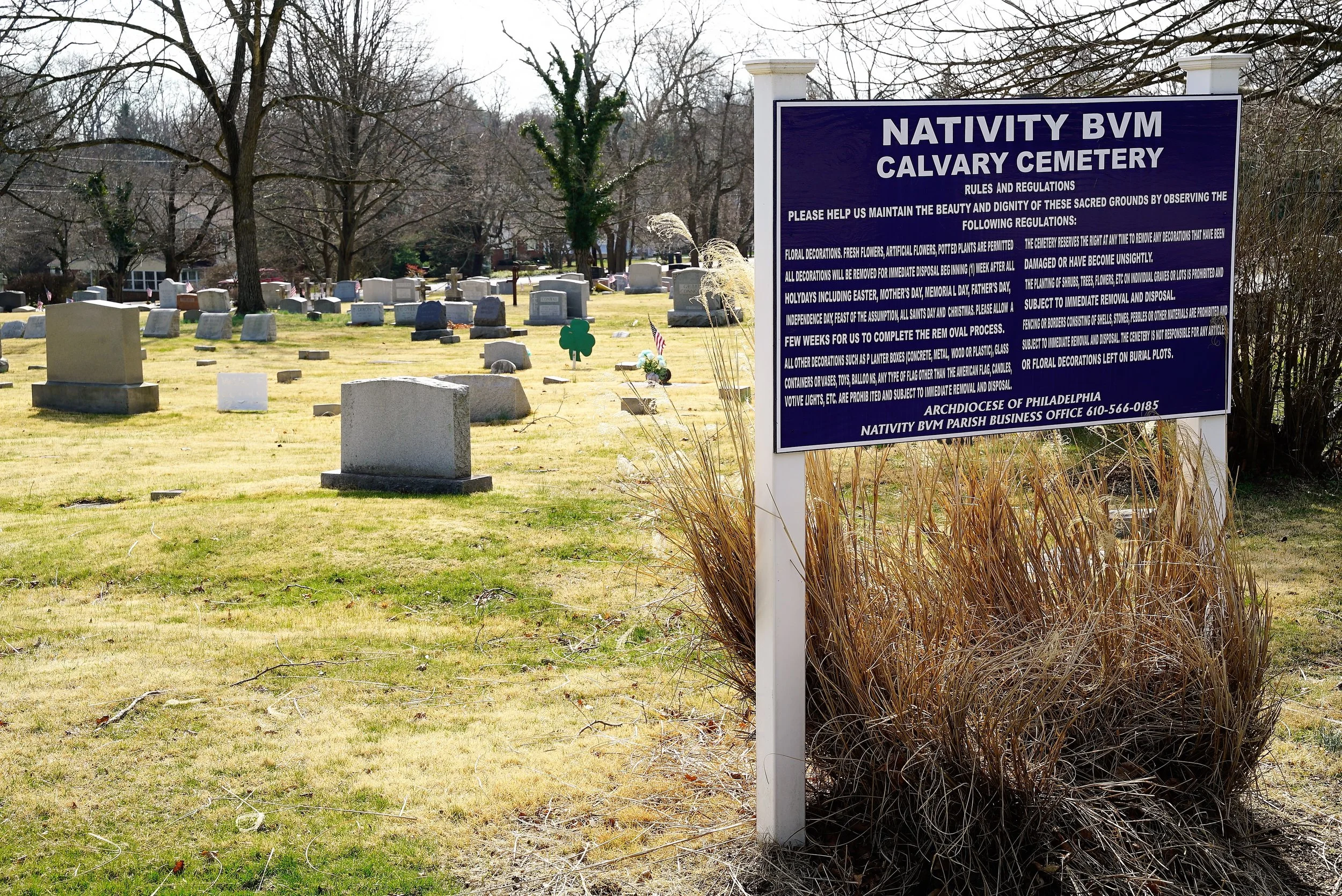 Photo: Nativity BVM Calvary Cemetery. Late winter 2017.