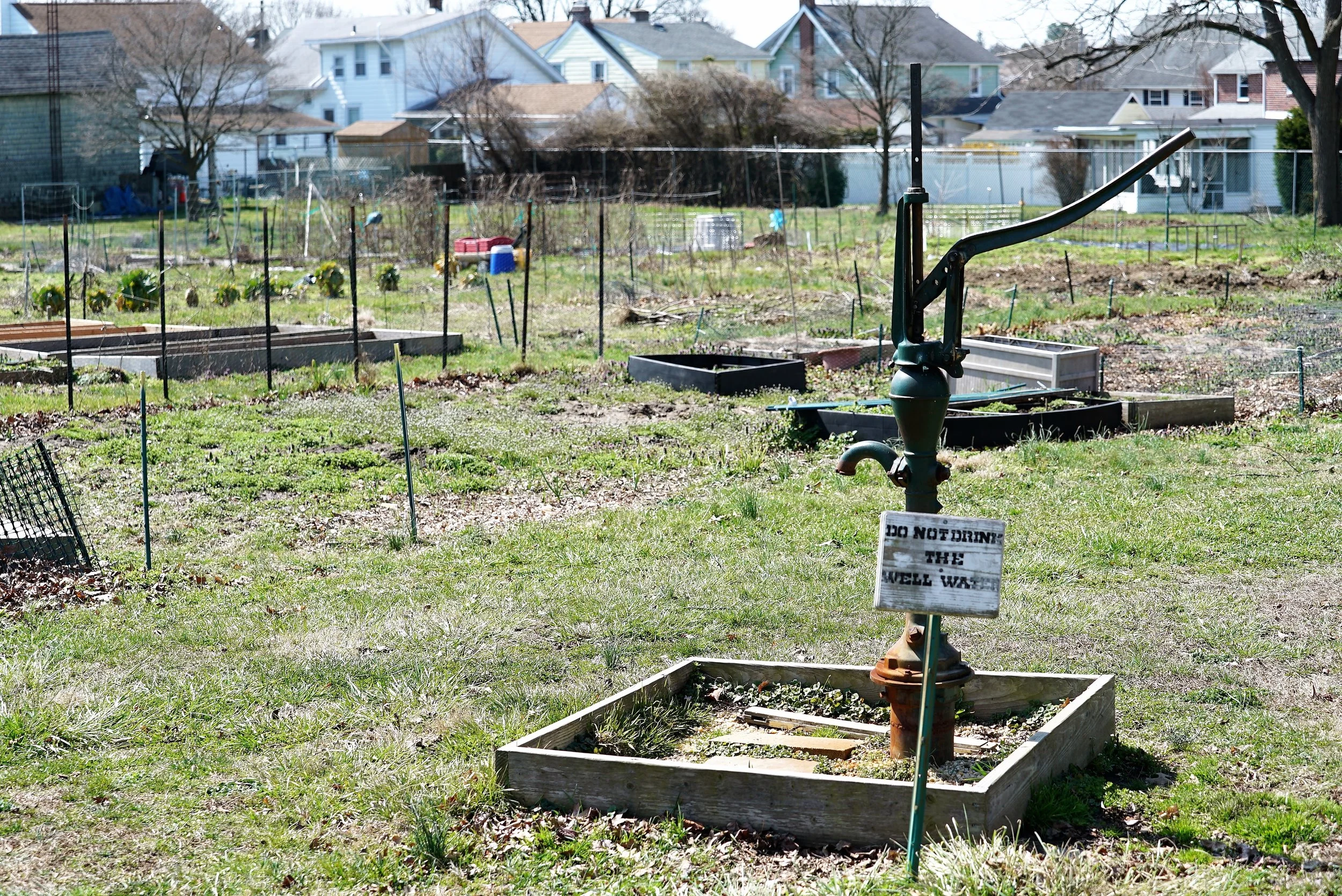 The burial ground is on one side of this open space; the community garden is on the other side.