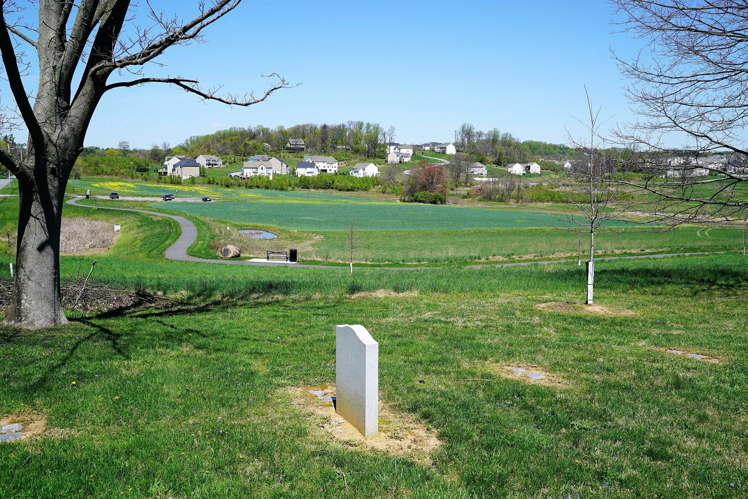 Cheyney Burial Ground - Thornton, Pennsylvania