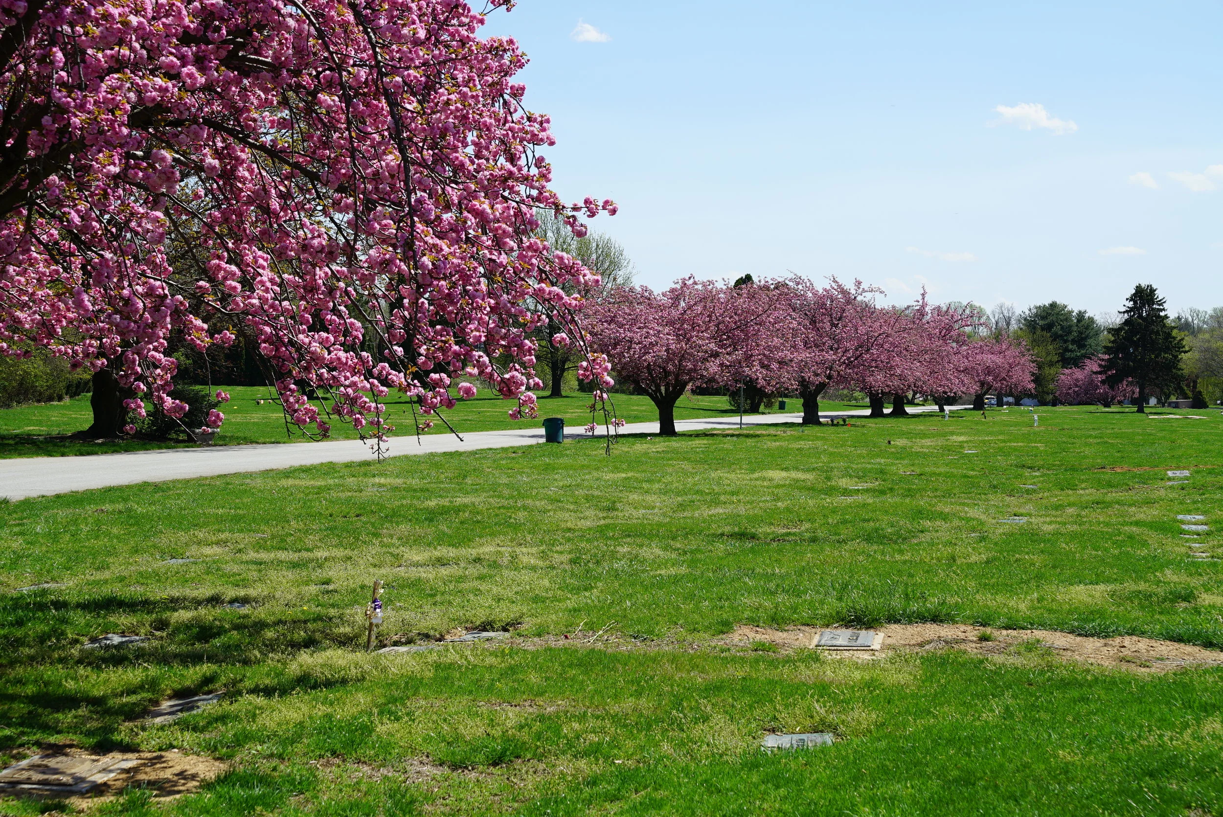 The view immediaitely inside Rolling Green Memorial Park Cemetery, April 2017. West Chester, PA.