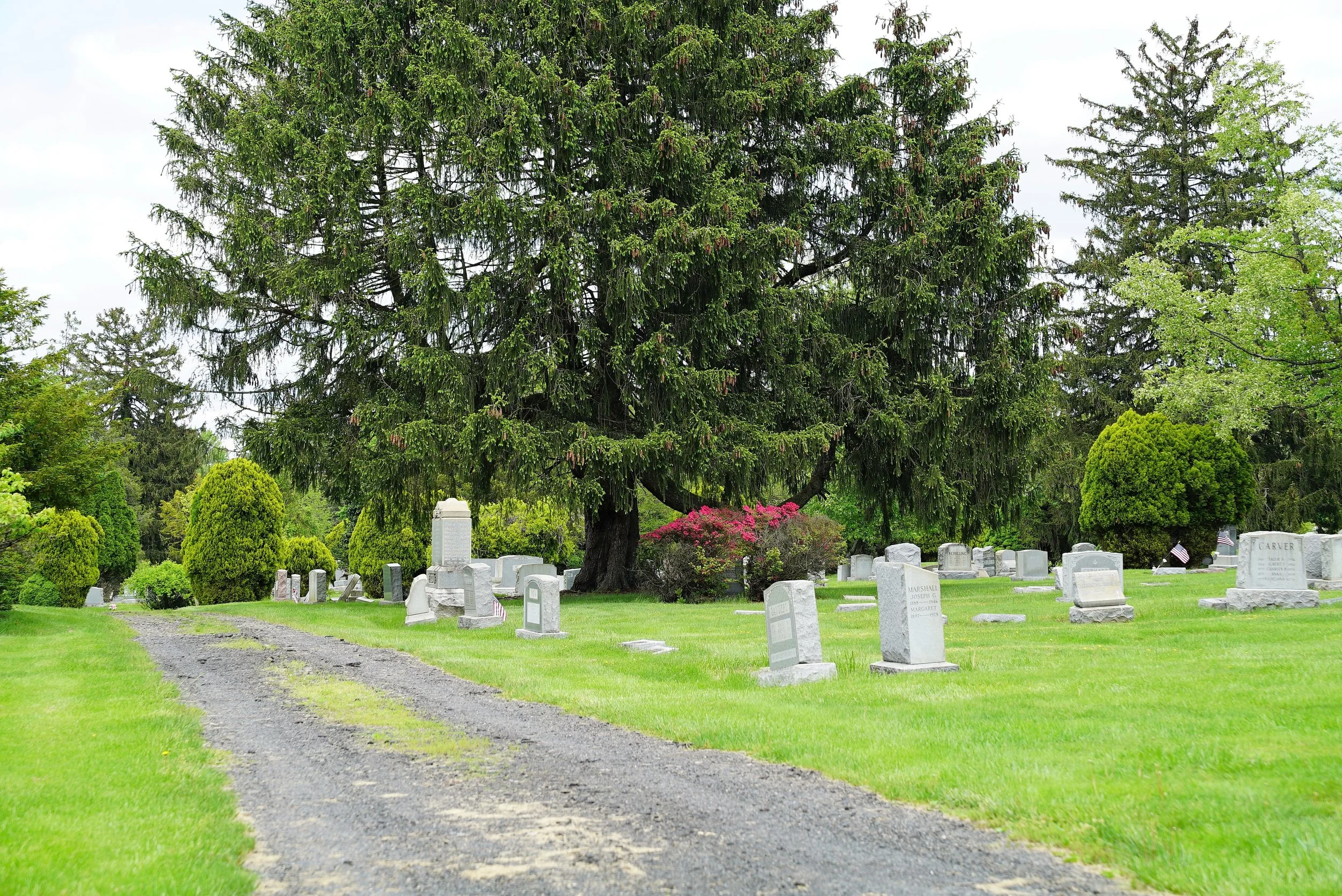 Hillside Cemetery Roslyn, Pennsylvania — Local Cemeteries