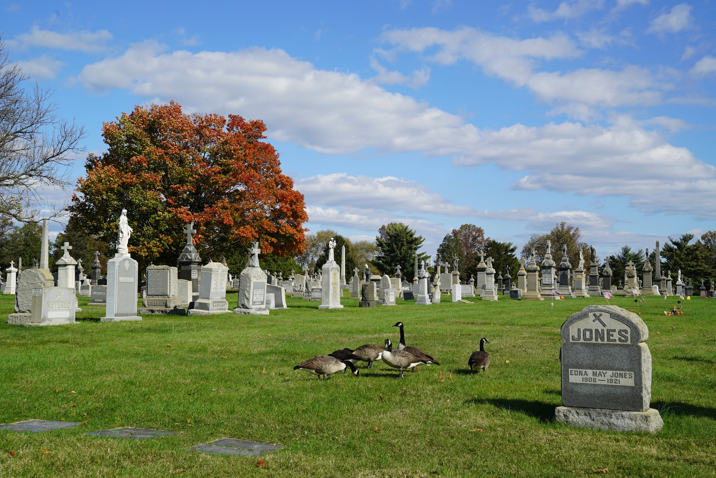 Holy Cross Cemetery Yeadon, Pennsylvania — Local Cemeteries