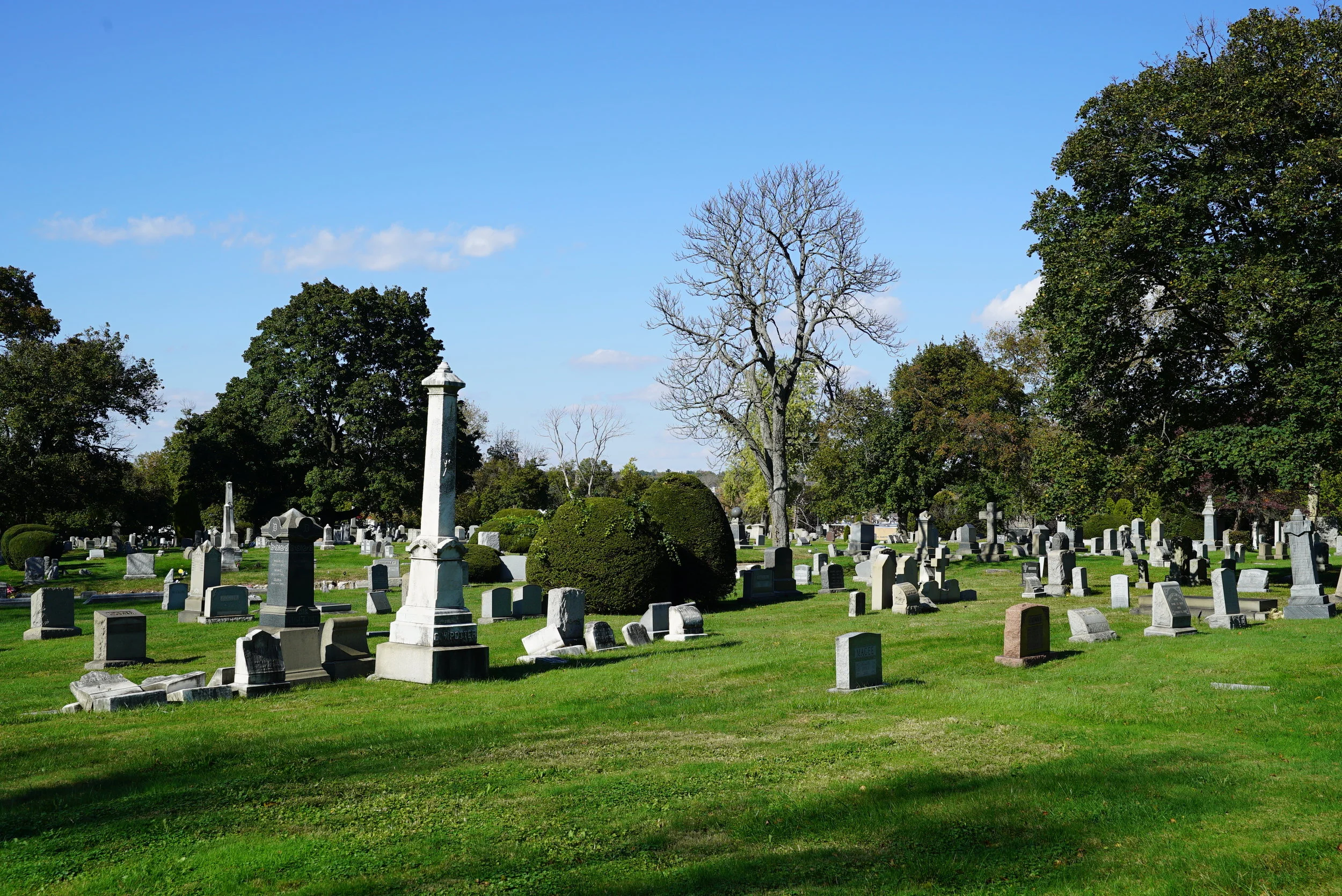Mount Peace Cemetery Philadelphia, Pennsylvania — Local Cemeteries