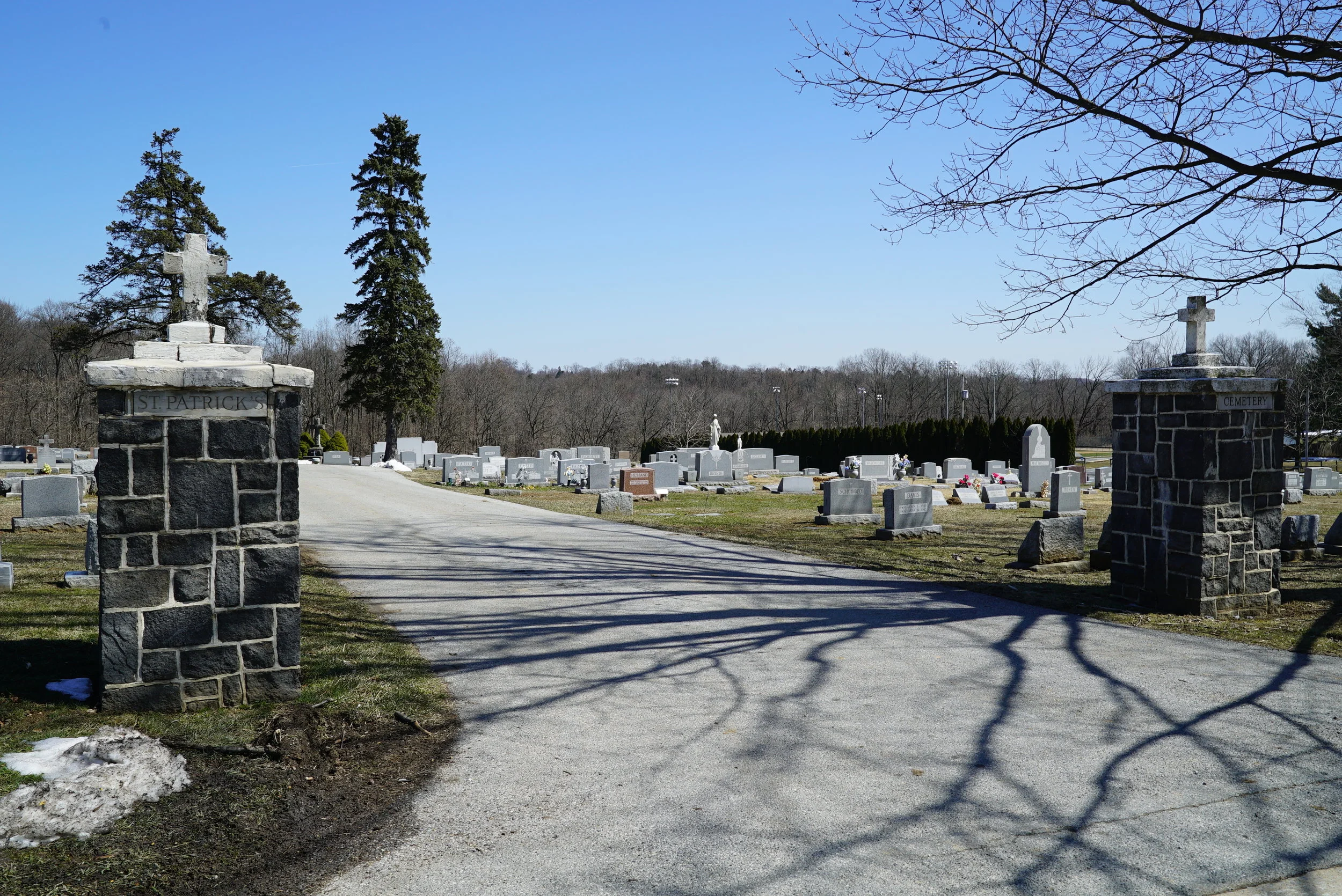 DSC07672 - Copy.JPG