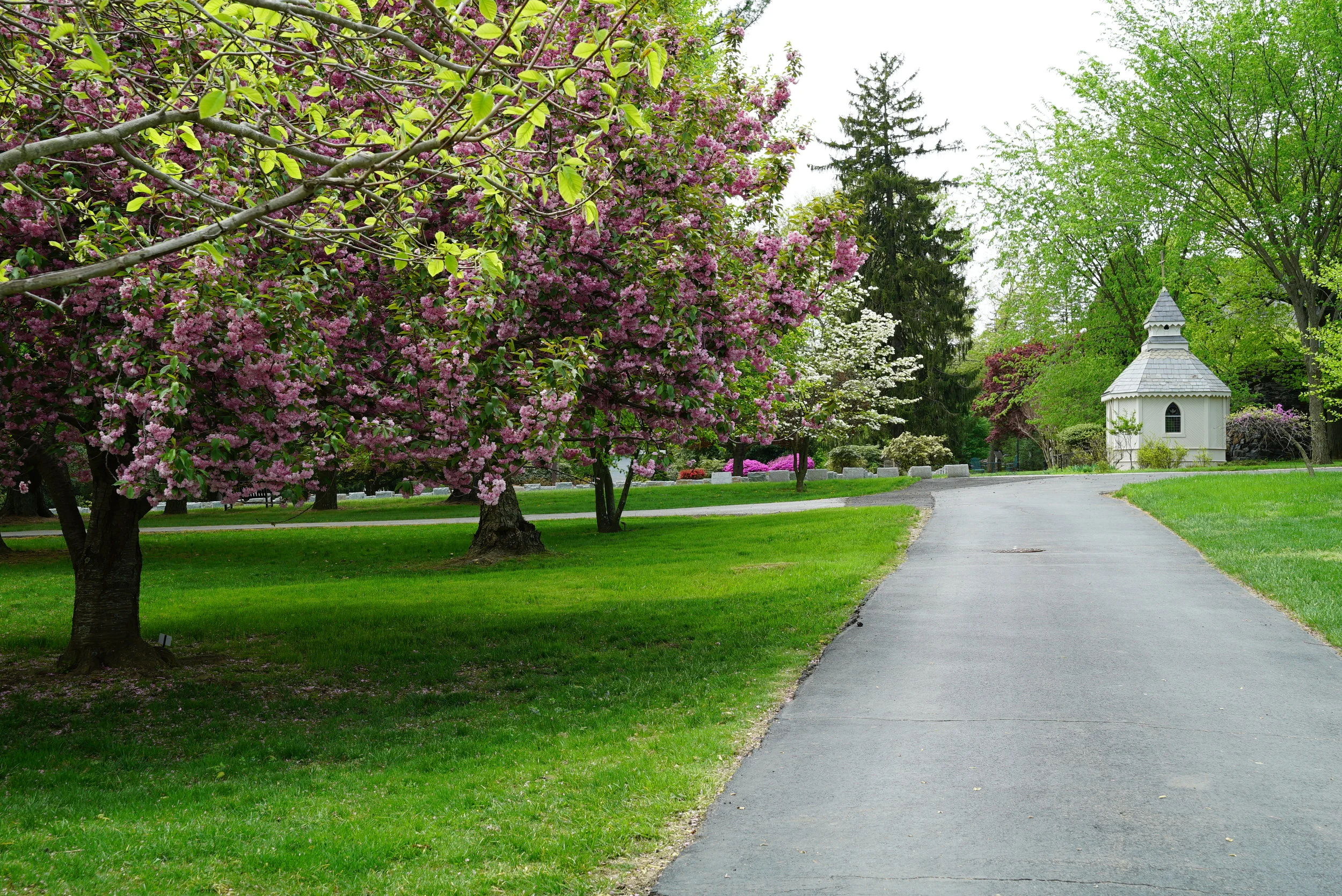 Our Lady of Angels Cemetery. Aston, Pennsylvania.