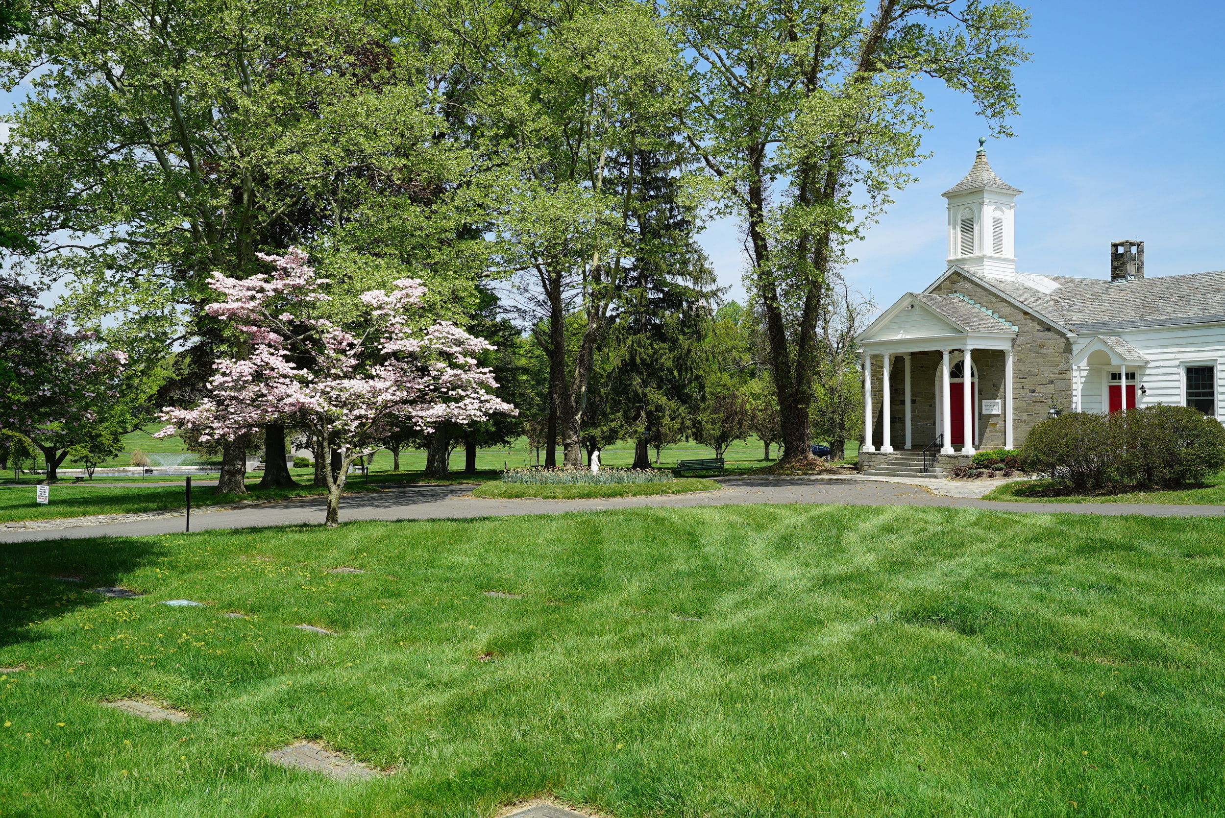 Whitemarsh Memorial Park Cemetery - Ambler, Pennsylvania — Local ...