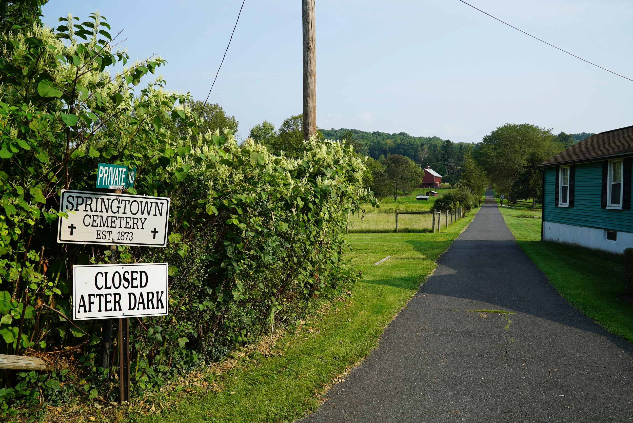 Springtown Cemetery - Springfield Township, Bucks County, Pennsylvania 