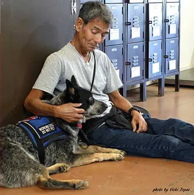 service-dogs2.jpg