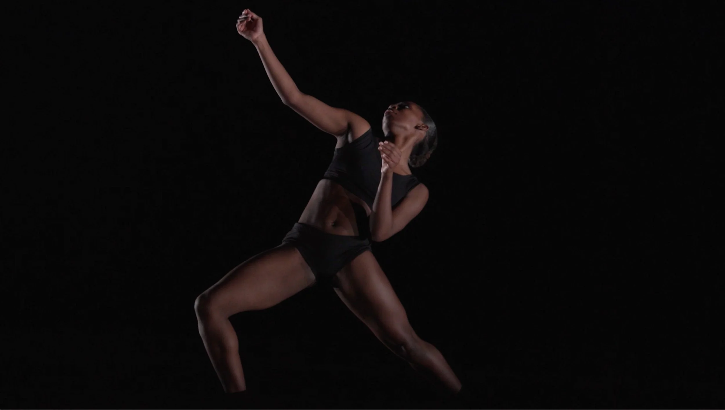 Ailey II in Francesca Harper's Freedom Series_5.jpeg