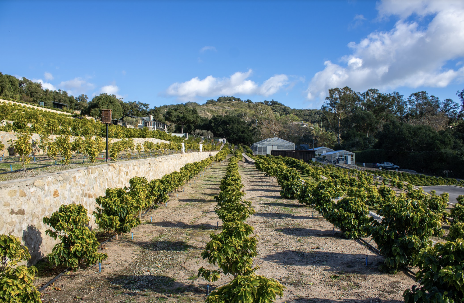 Screen Shot 2020-01-16 at 5.07.08 PM.png